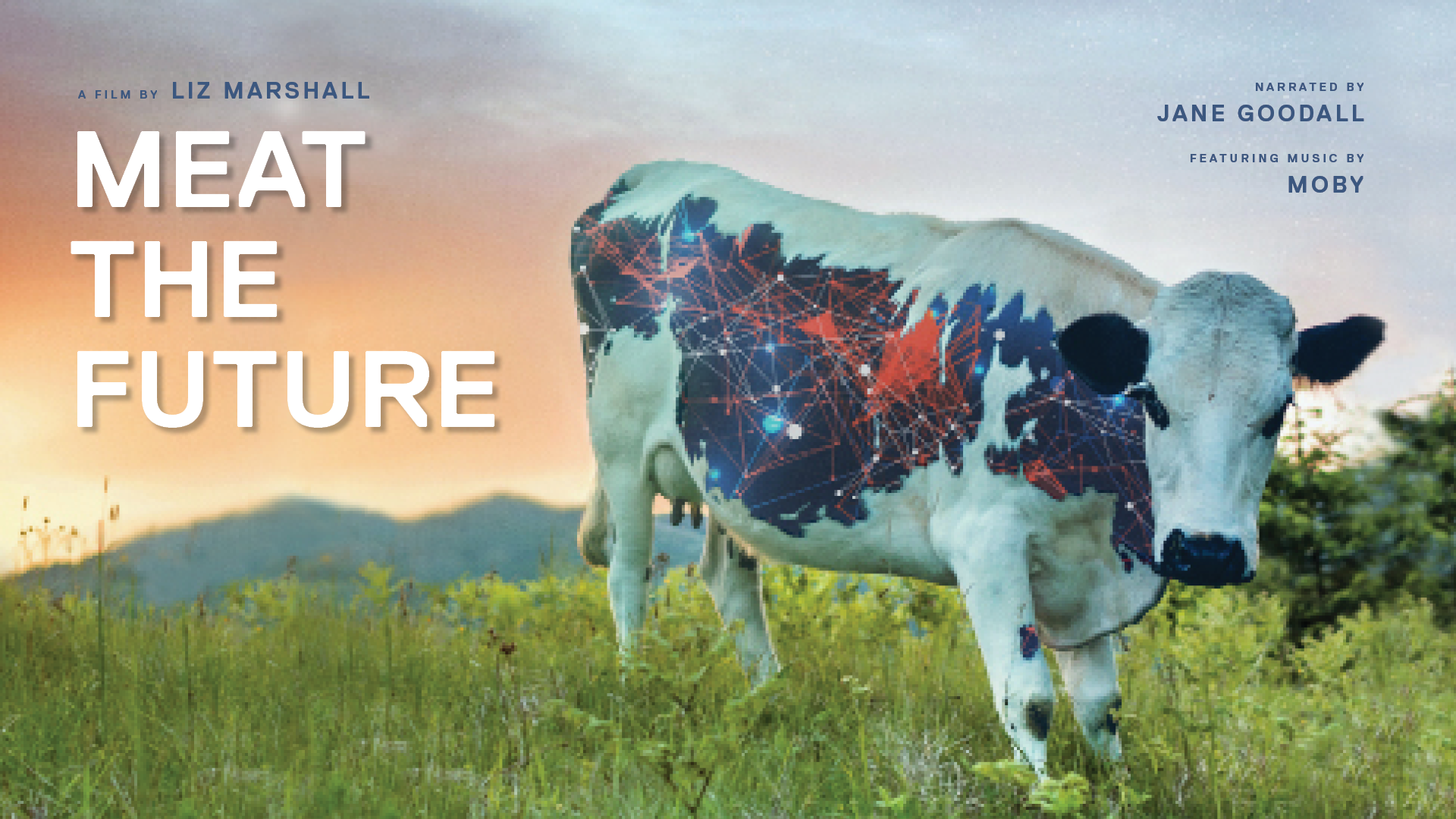 Poster for Meat the Future