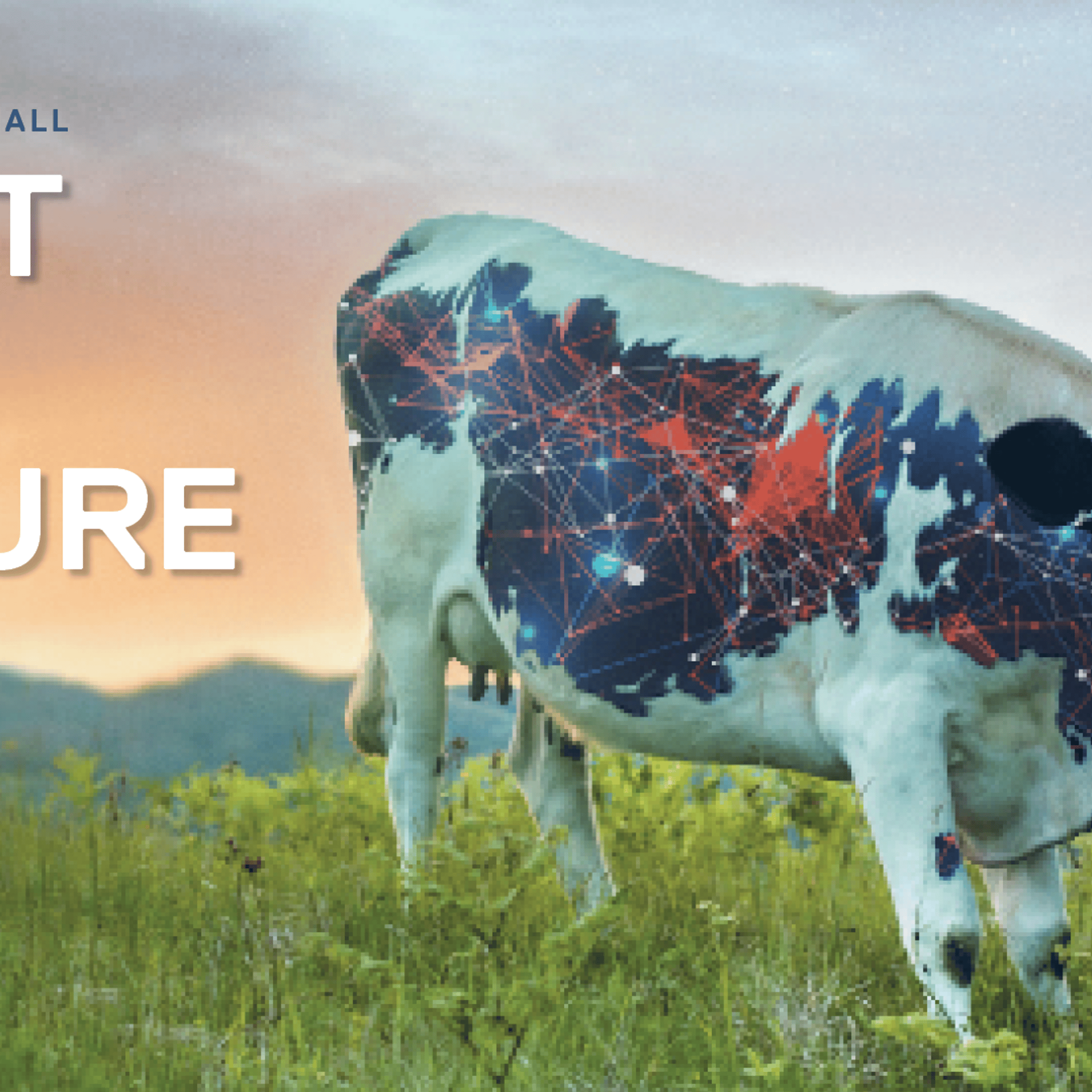 Poster for Meat the Future