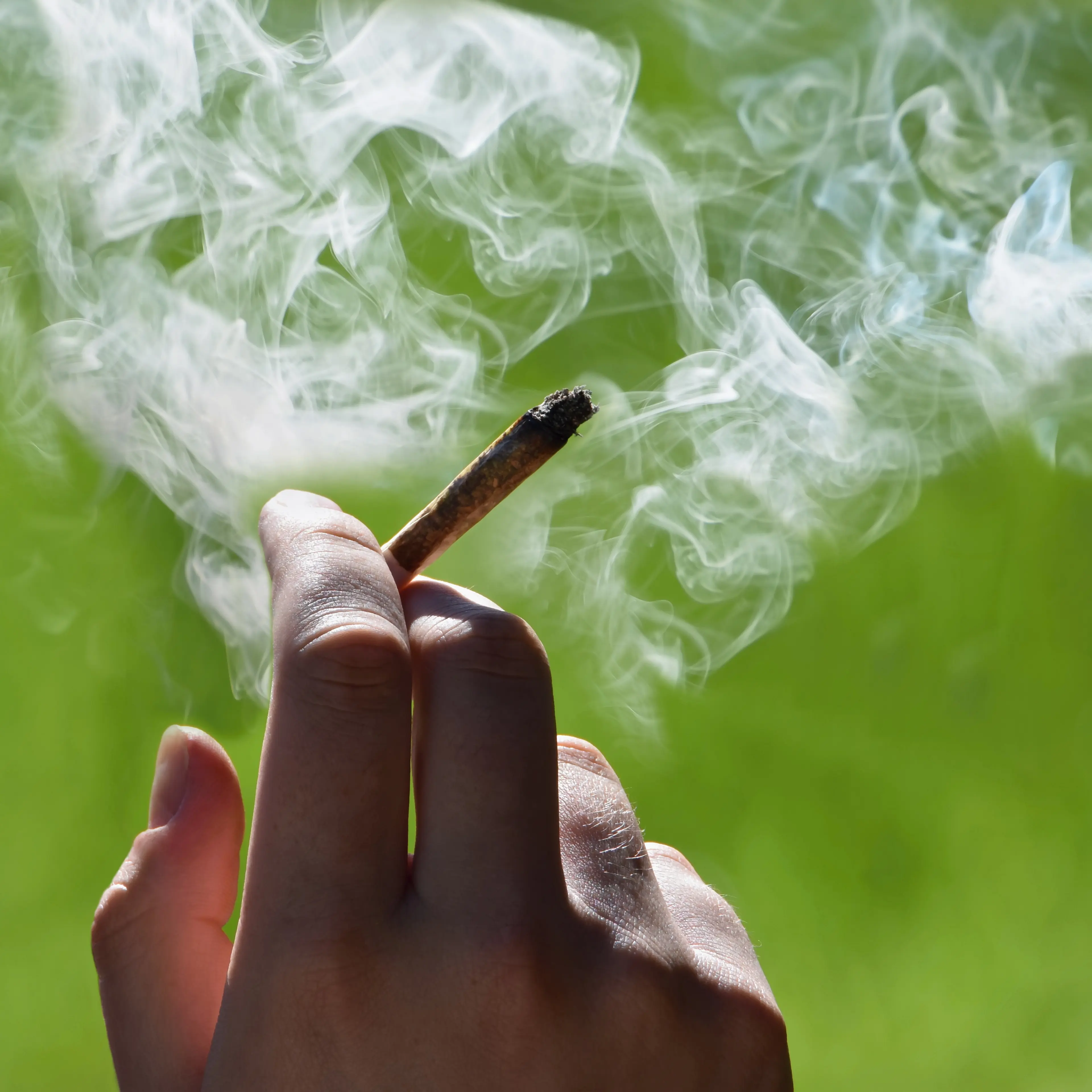 cannabis joint