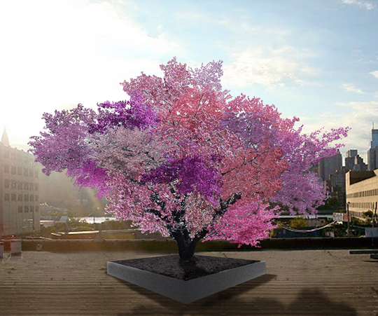 Tree of 40 Fruit by Sam Van Aken