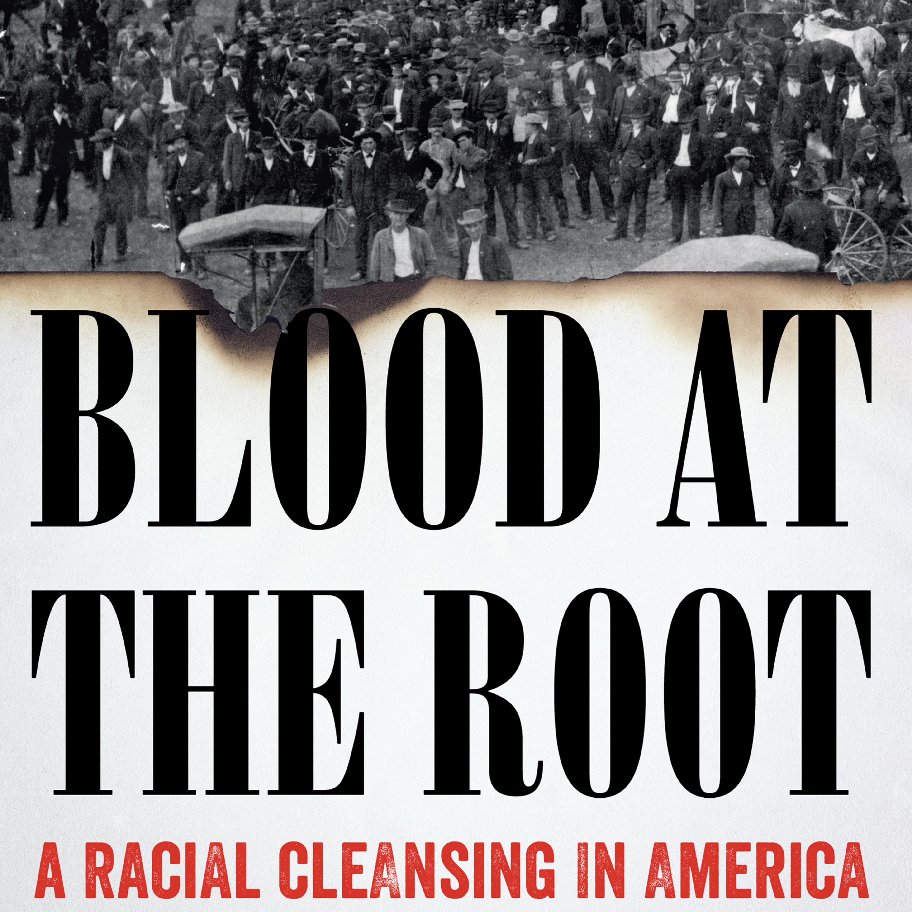 Blood at the Root by Patrick Phillips