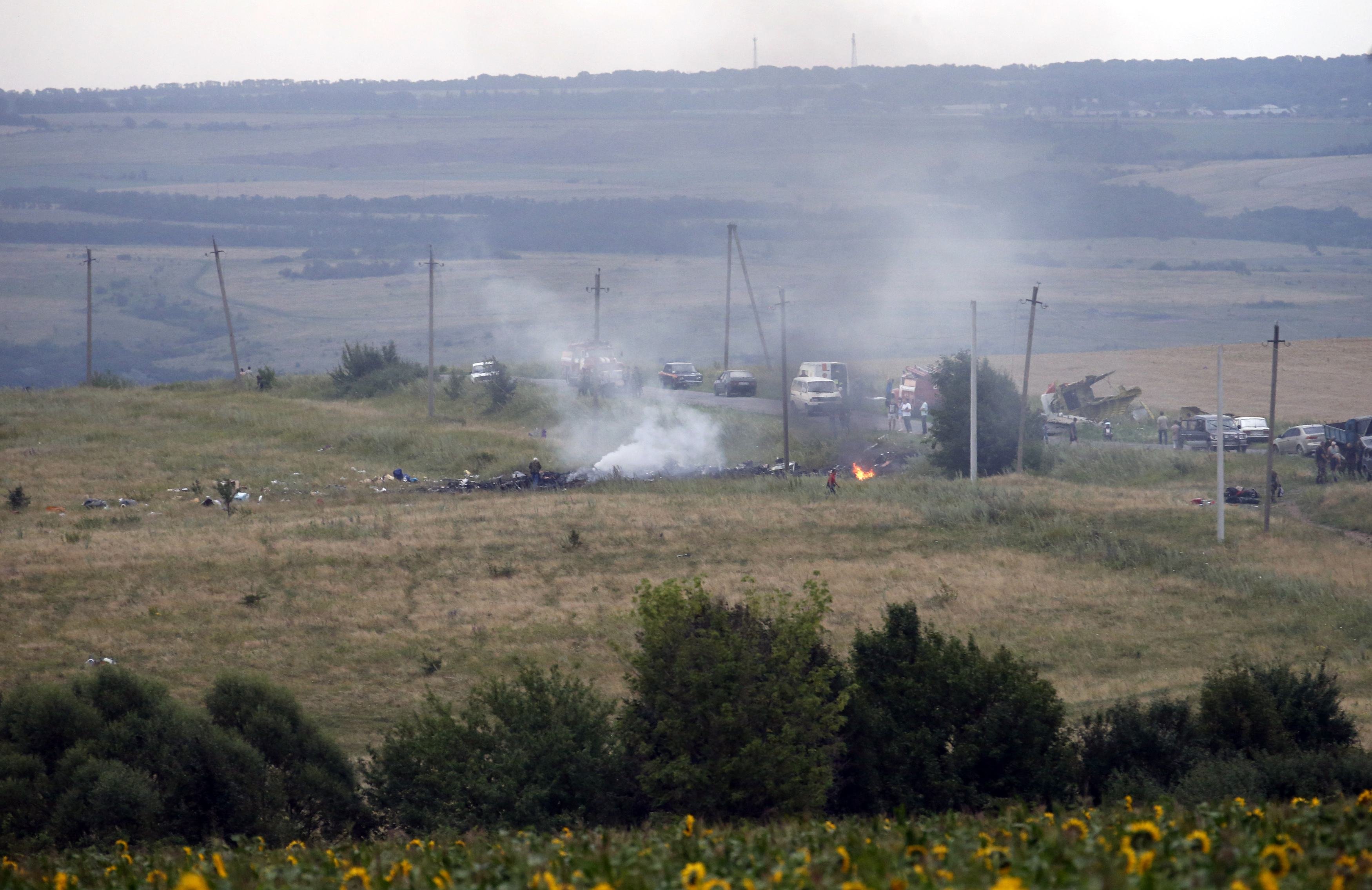 The site of a Malaysia Airlines Boeing 777 plane crash is seen near the settlement of Grabovo in the Donetsk region, July 17, 2014.