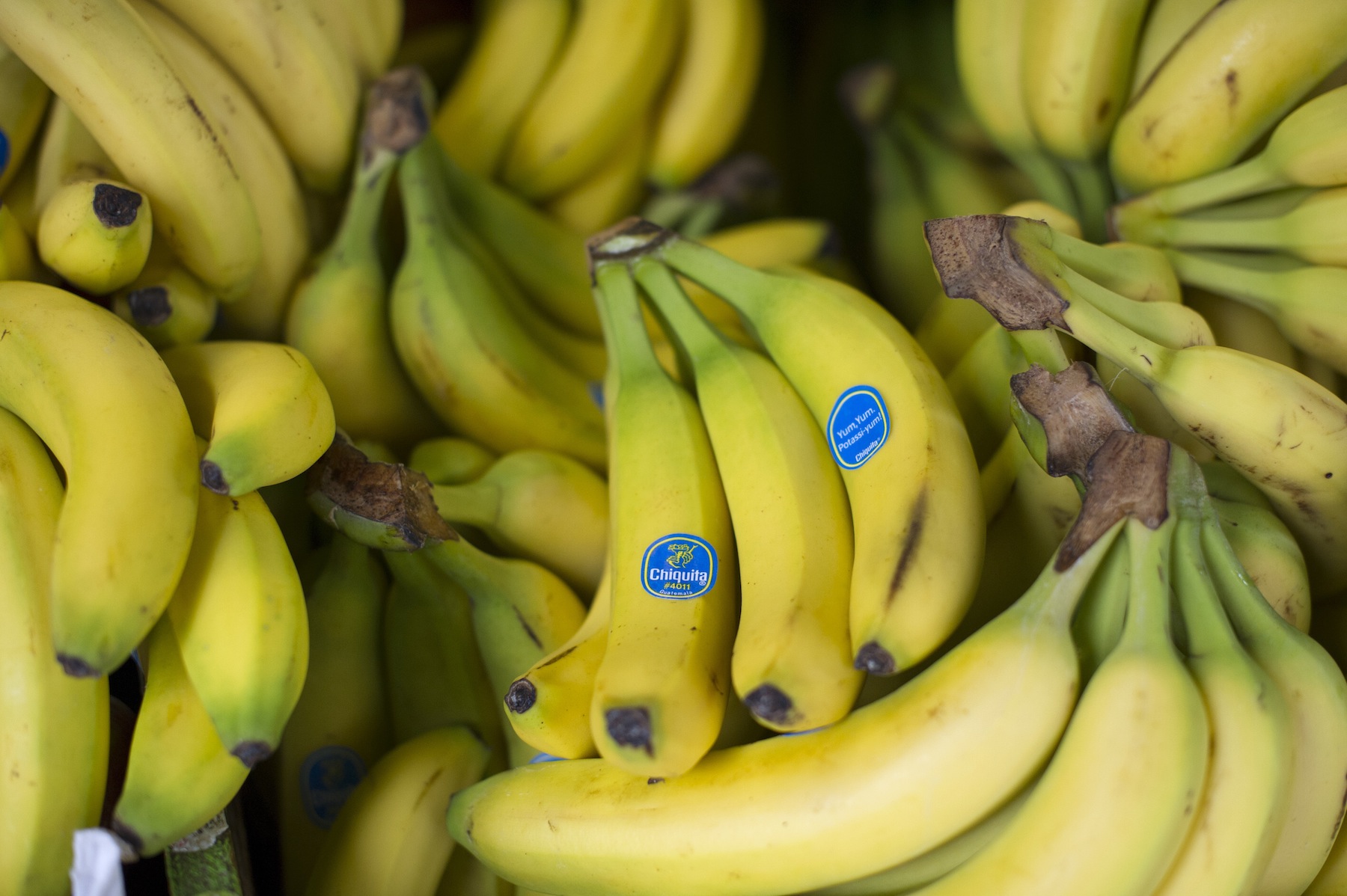 Chiquita Bananas
