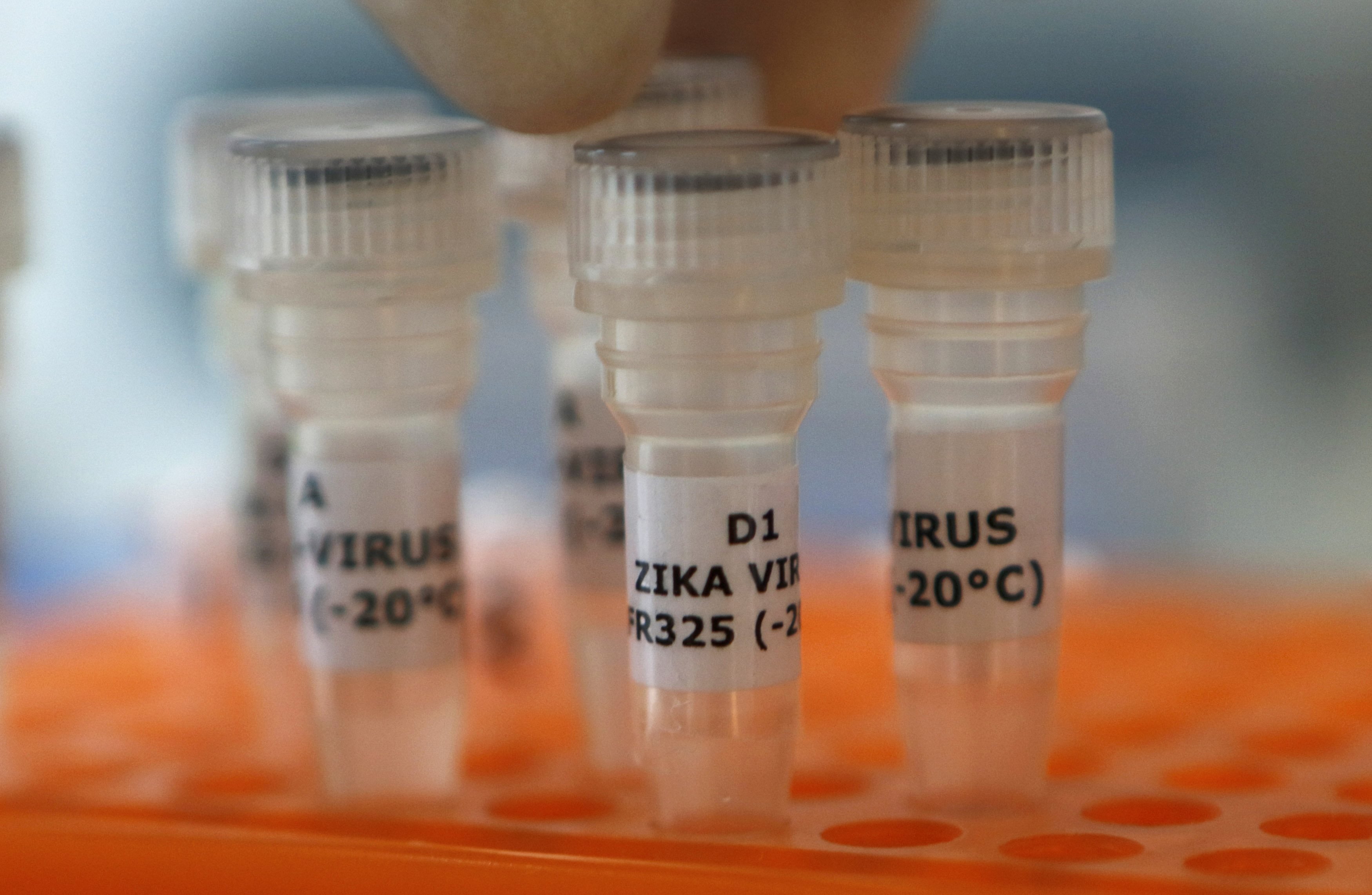 An employee examines tubes with the label 'Zika virus' at Genekam Biotechnology AG in Duisburg
