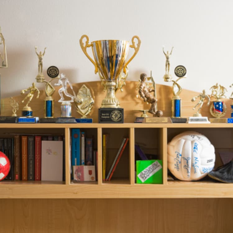 sports-trophies-books-shelves