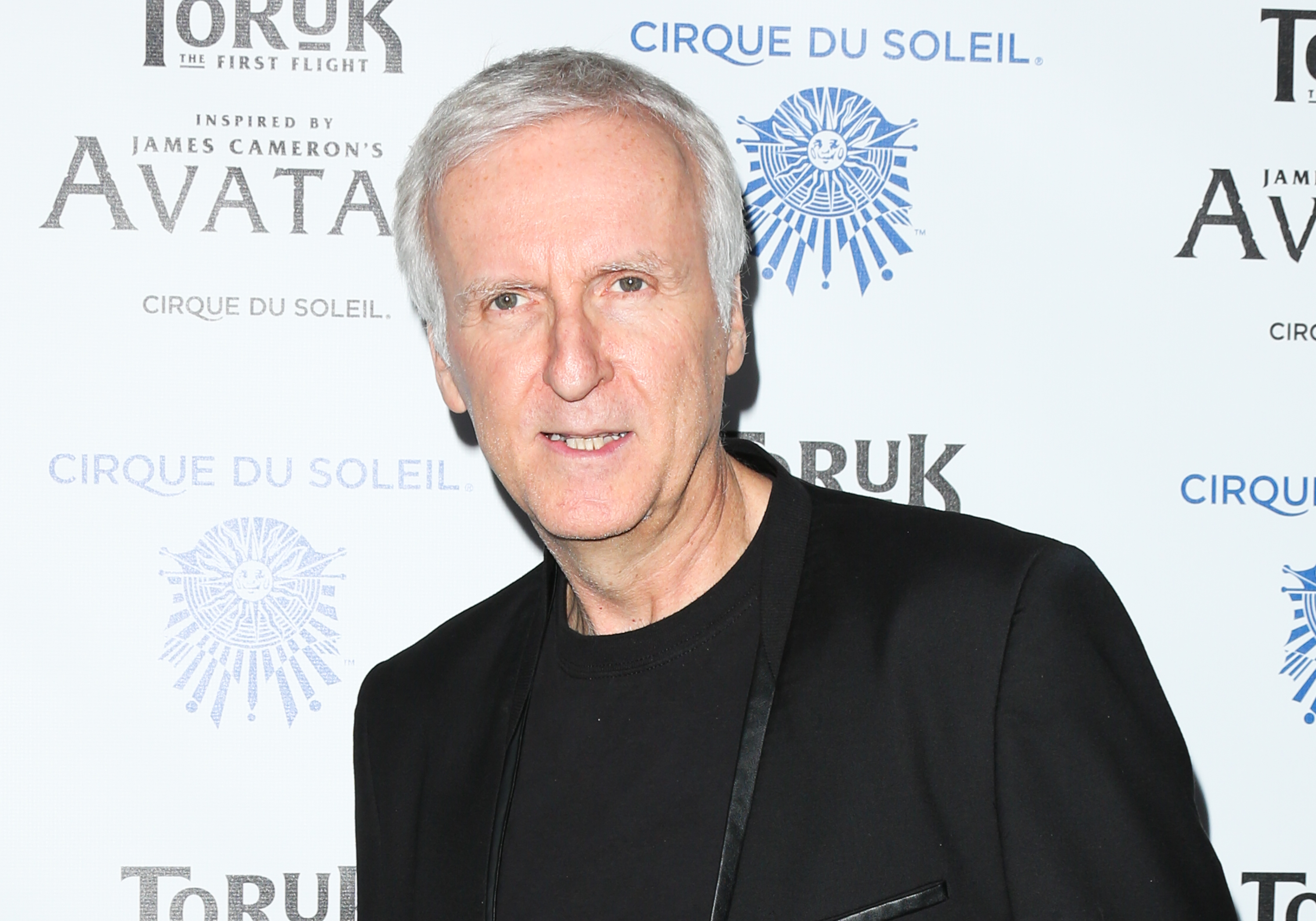 Opening Night Of Cirque du Soleil's "Toruk - The First Flight" - Arrivals