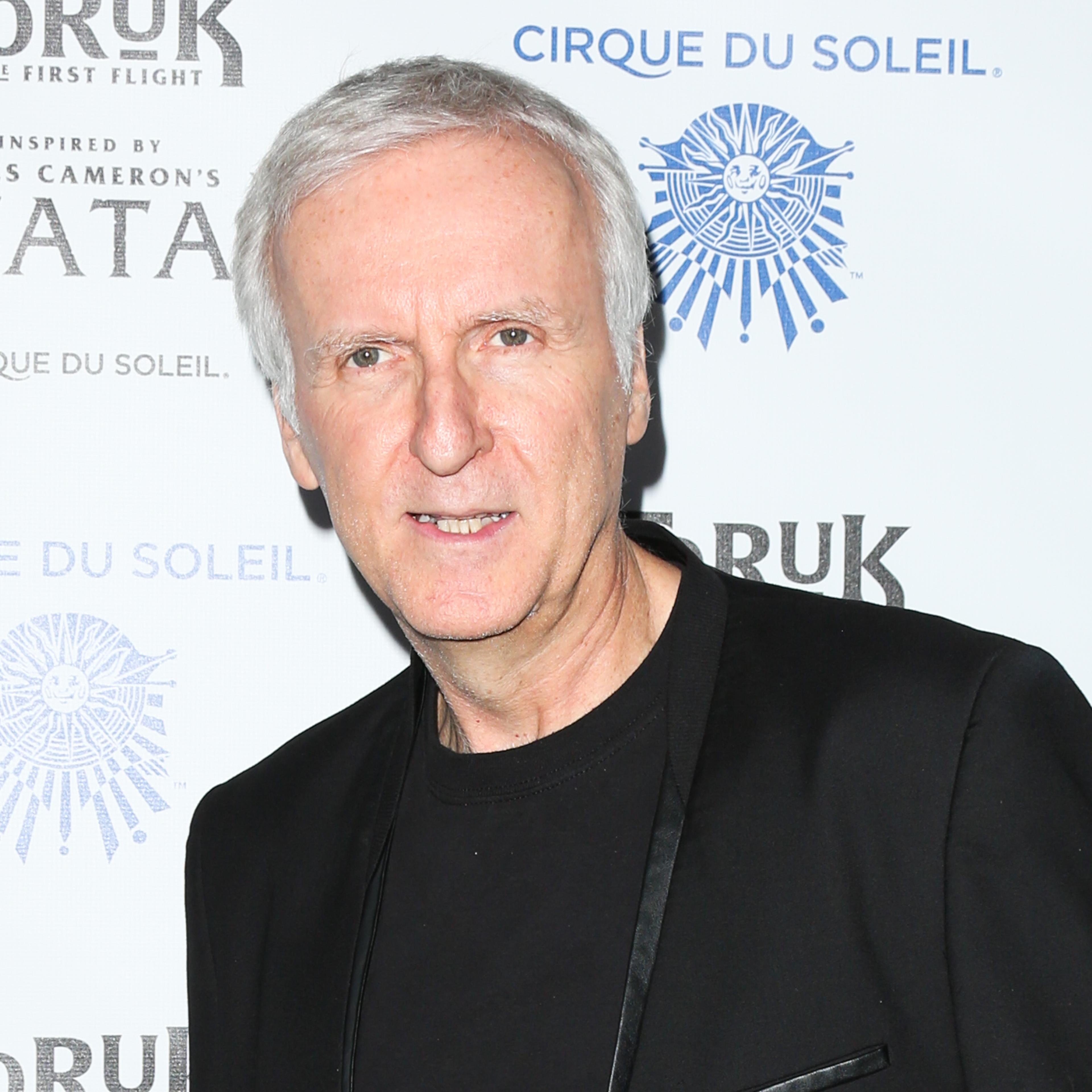 Opening Night Of Cirque du Soleil's "Toruk - The First Flight" - Arrivals