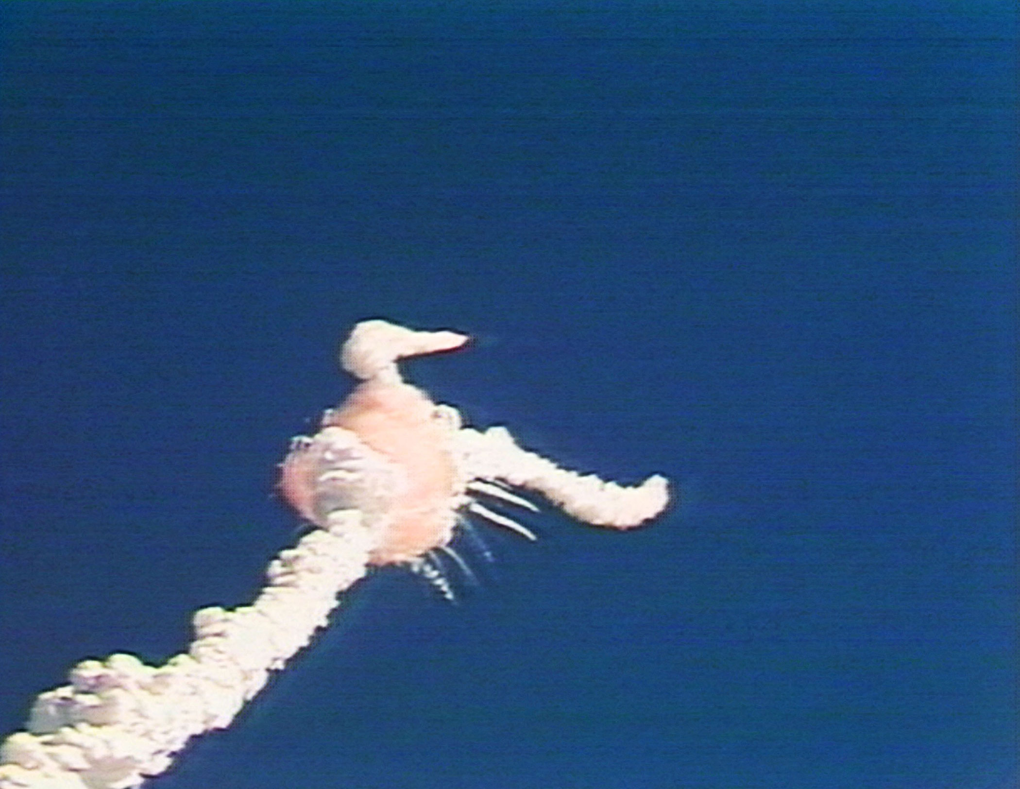 See the First Photo Ever Taken in Space Colorized