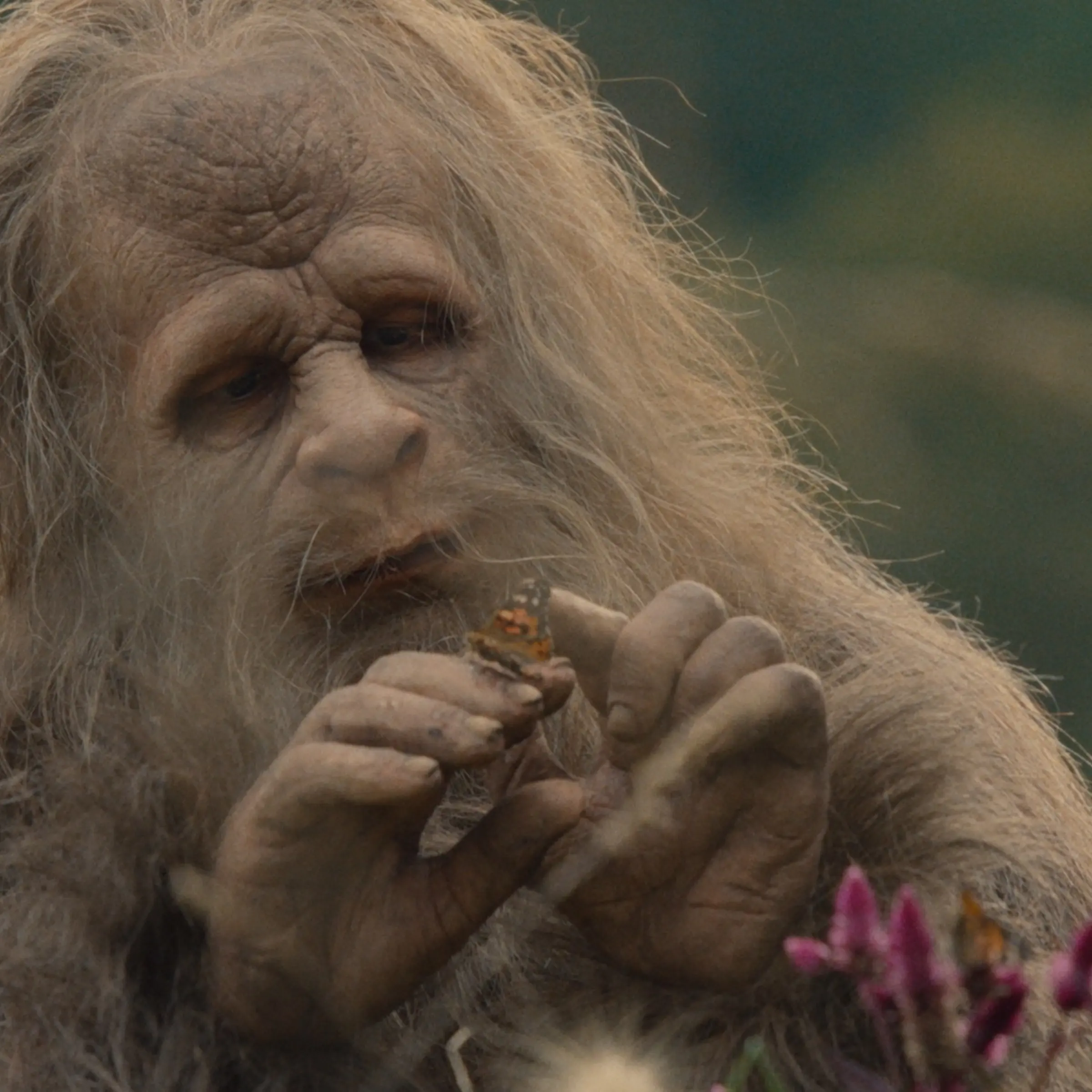 Sasquatch Sunset