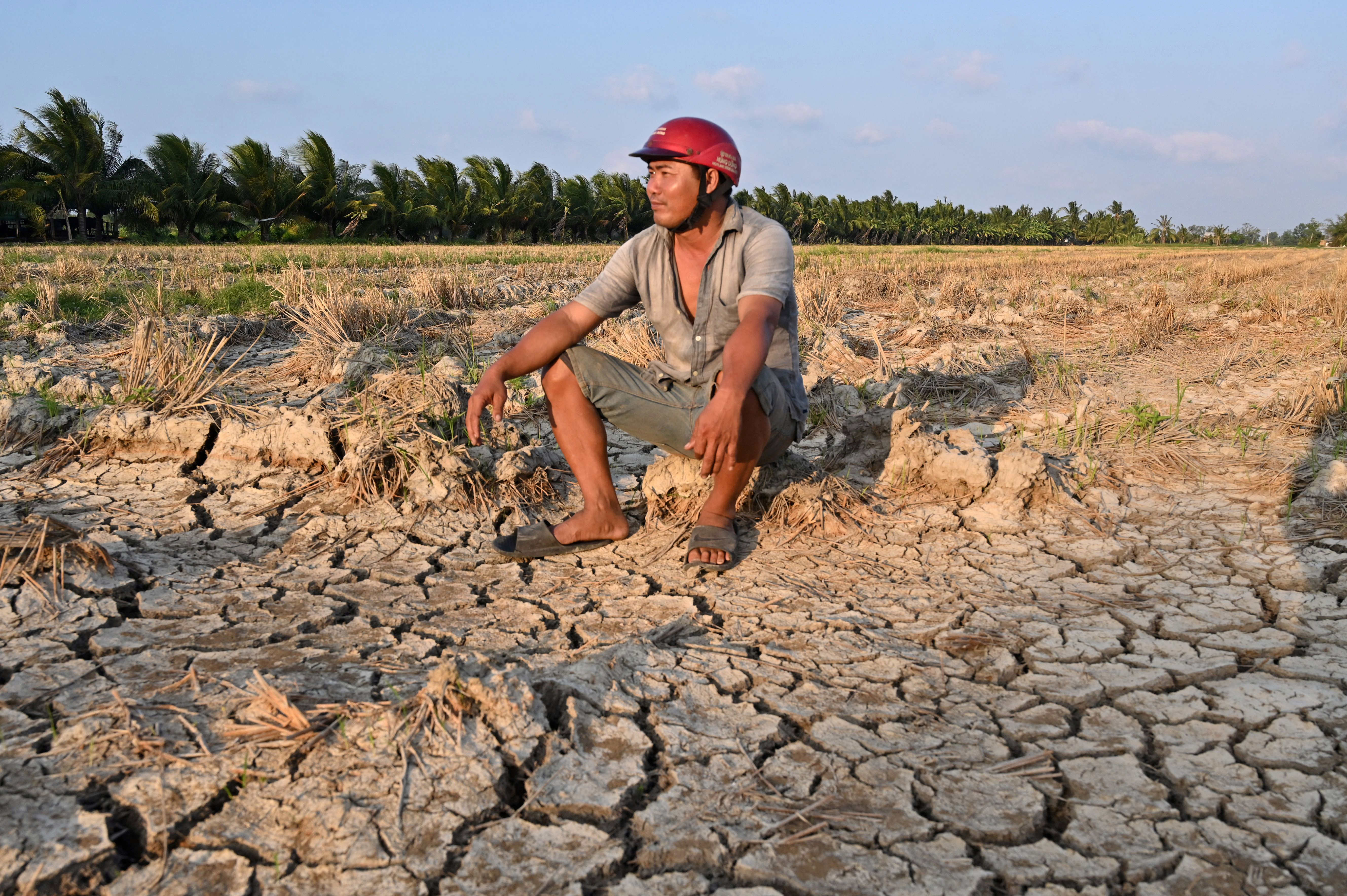 VIETNAM-AGRICULTURE-ENVIRONMENT-DROUGHT