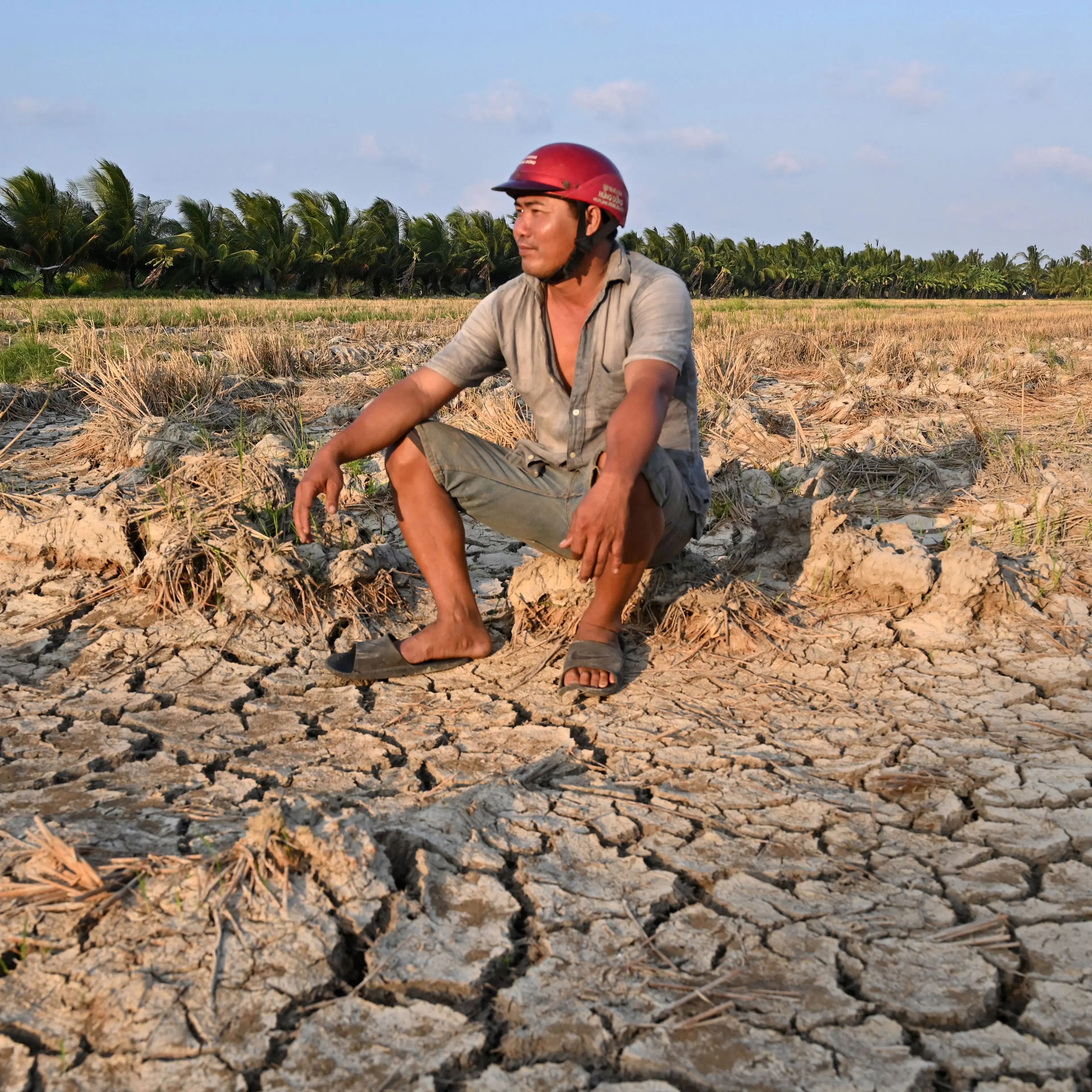 VIETNAM-AGRICULTURE-ENVIRONMENT-DROUGHT