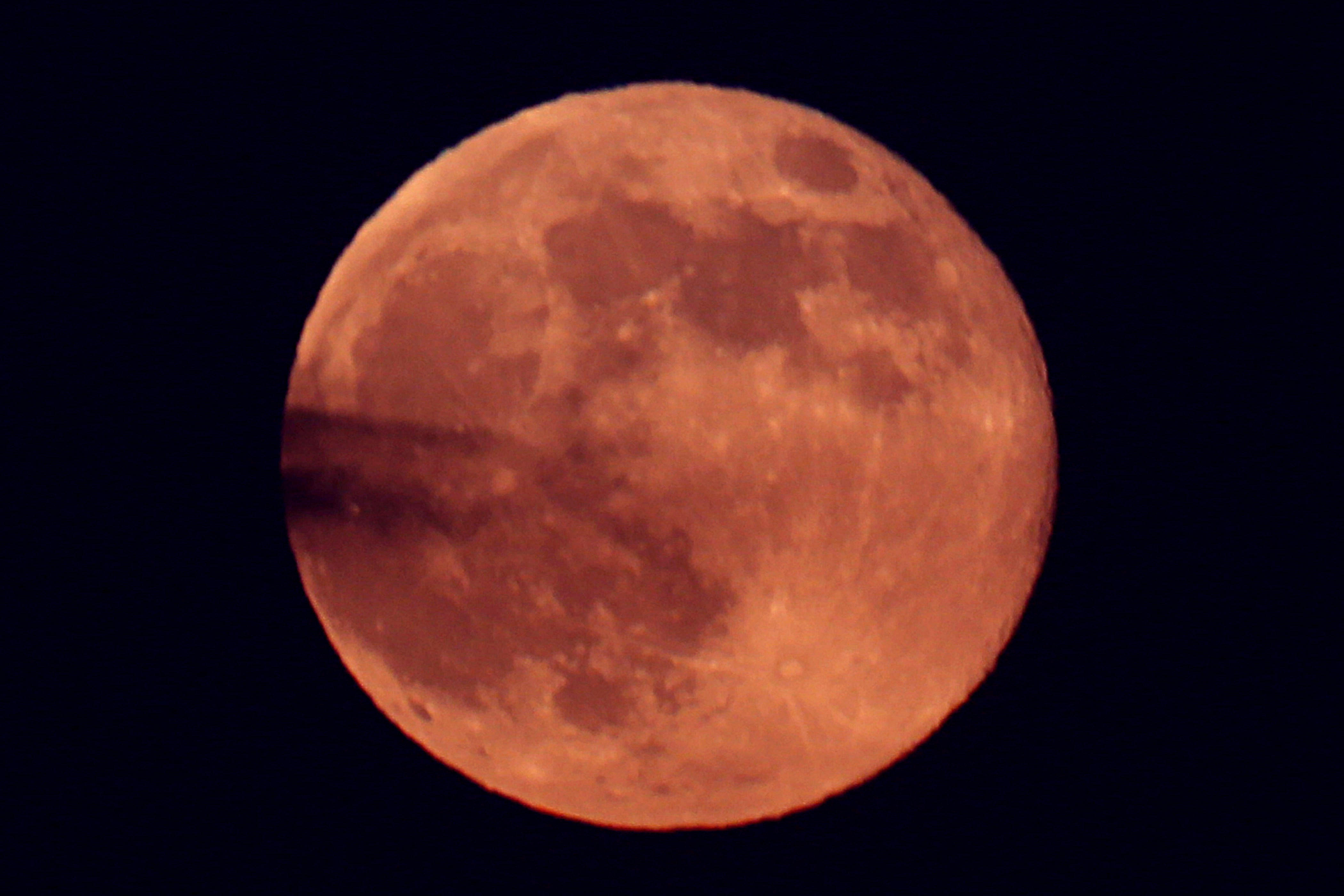 Full Pink Moon