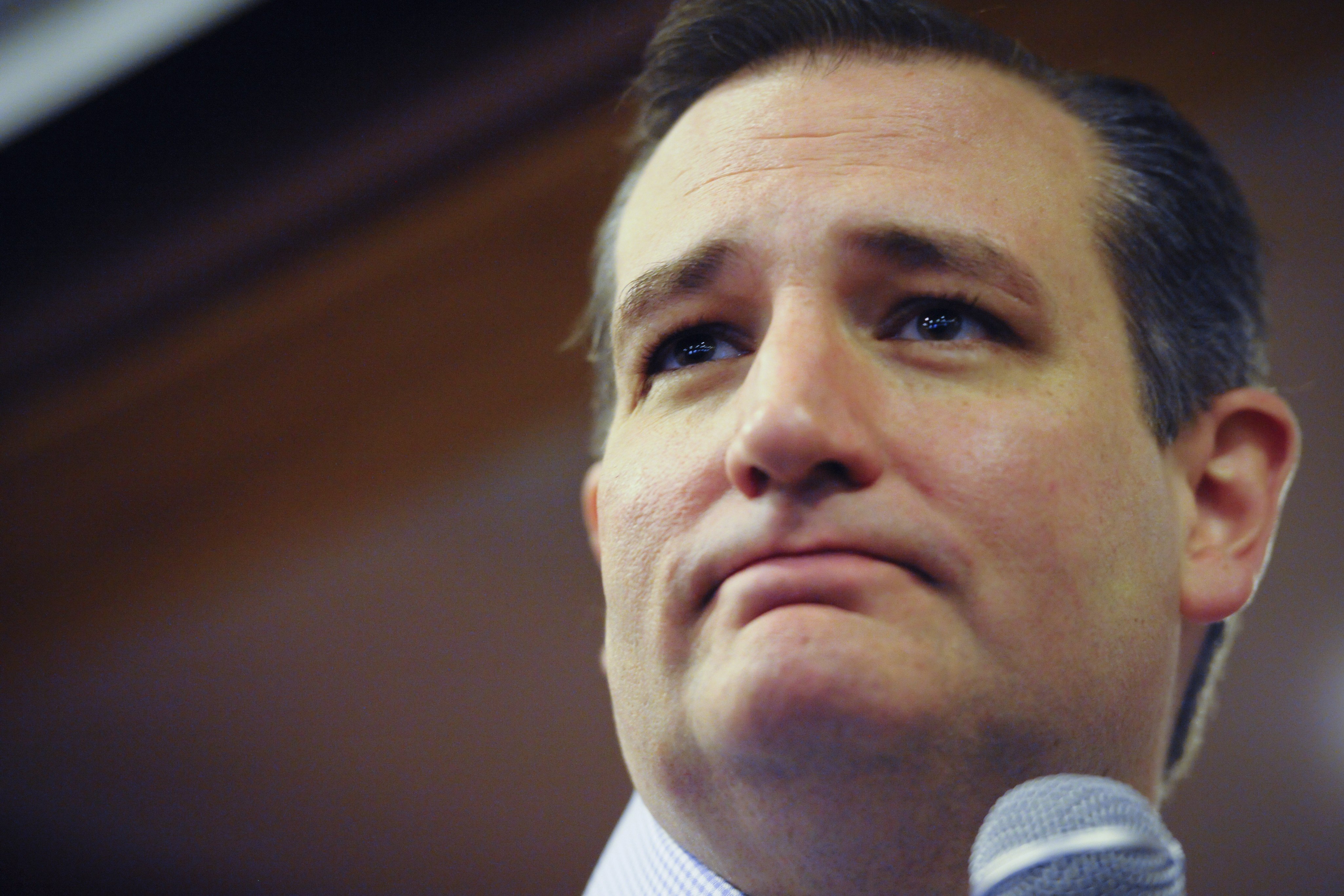 U.S. Republican presidential candidate Cruz speaks at a campaign stop at a Pizza Ranch in Newton, Iowa