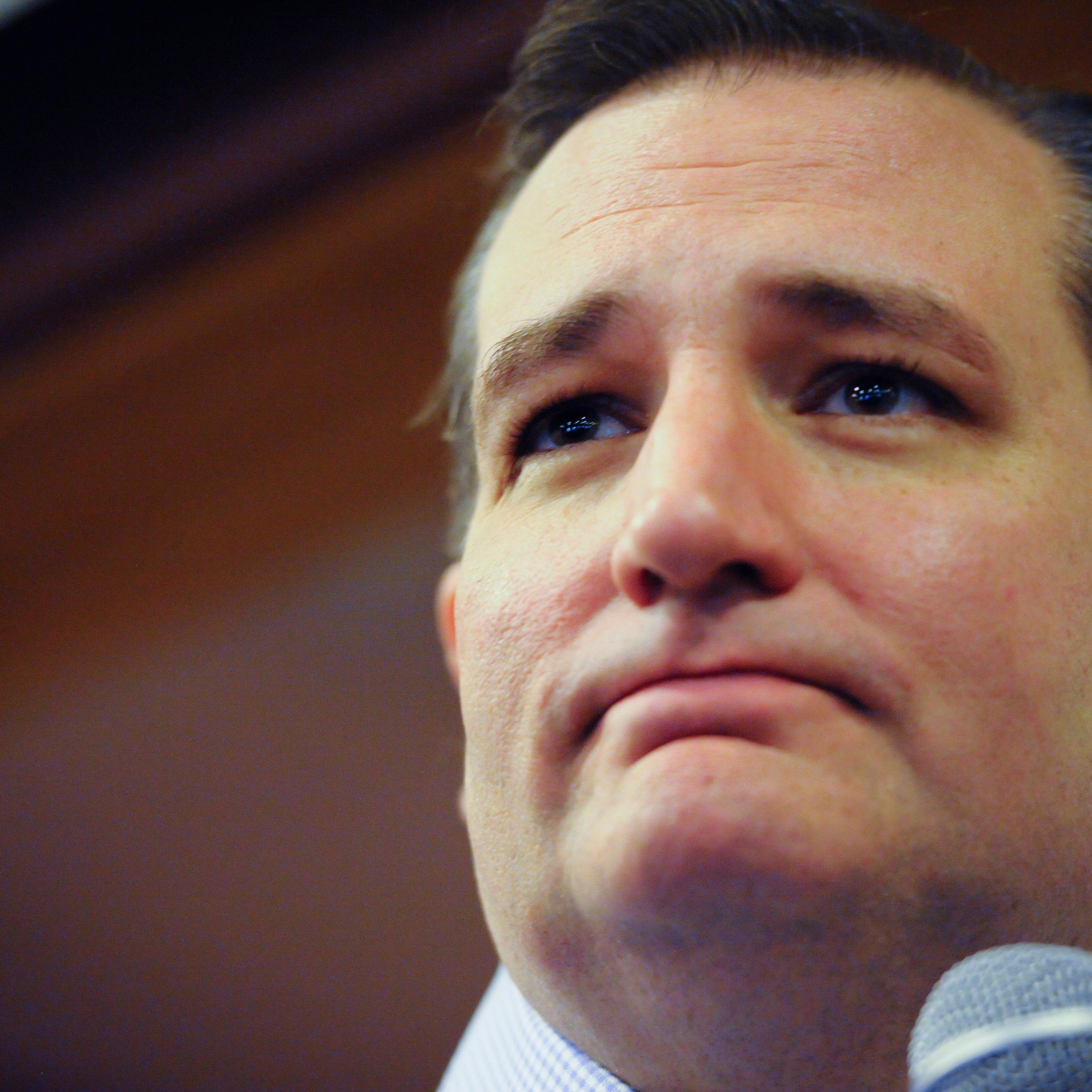 U.S. Republican presidential candidate Cruz speaks at a campaign stop at a Pizza Ranch in Newton, Iowa