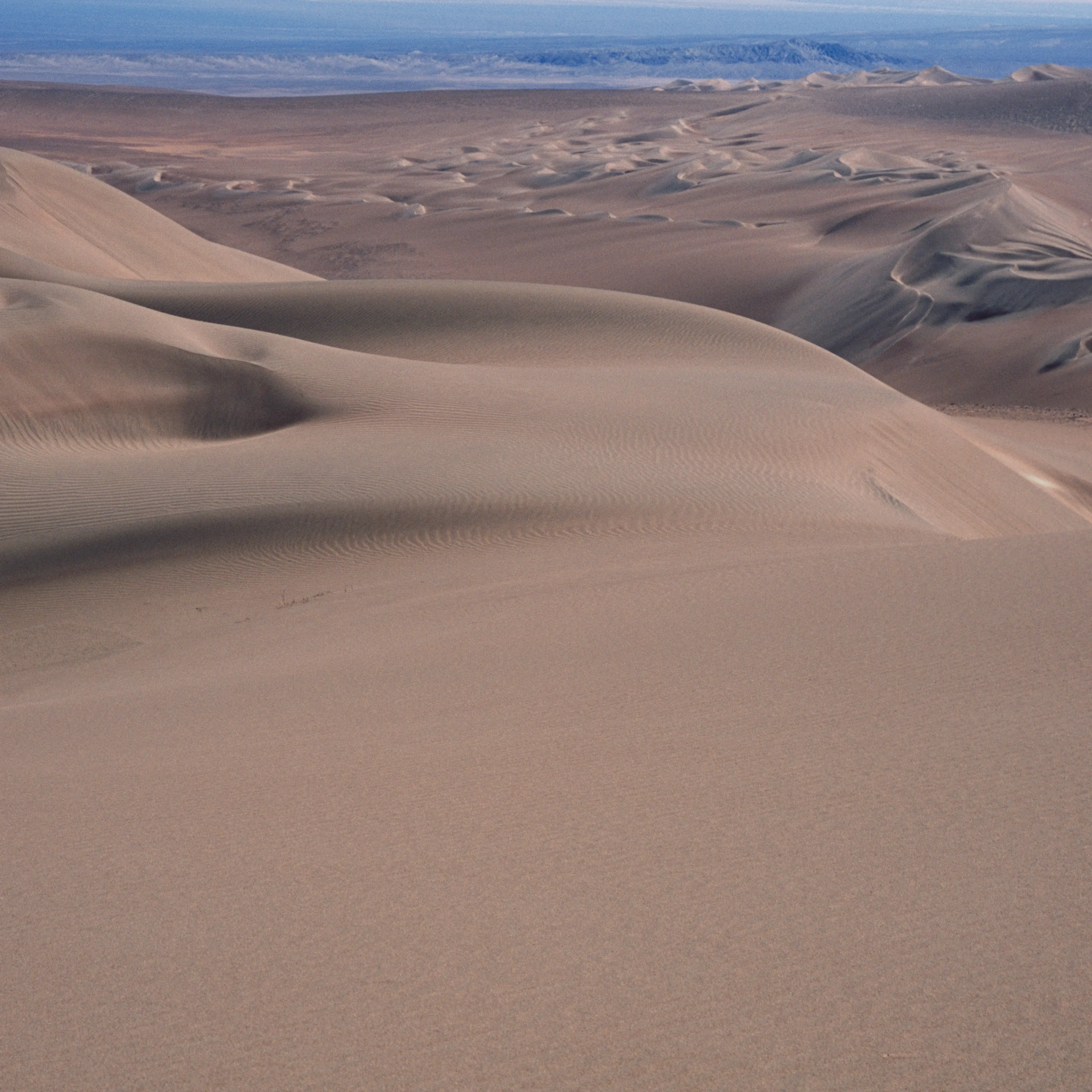 Atacama desert, Salar de Huasco National Park