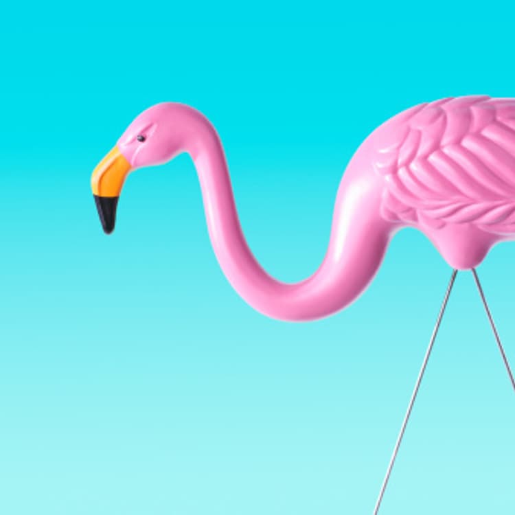plastic-pink-flamingo