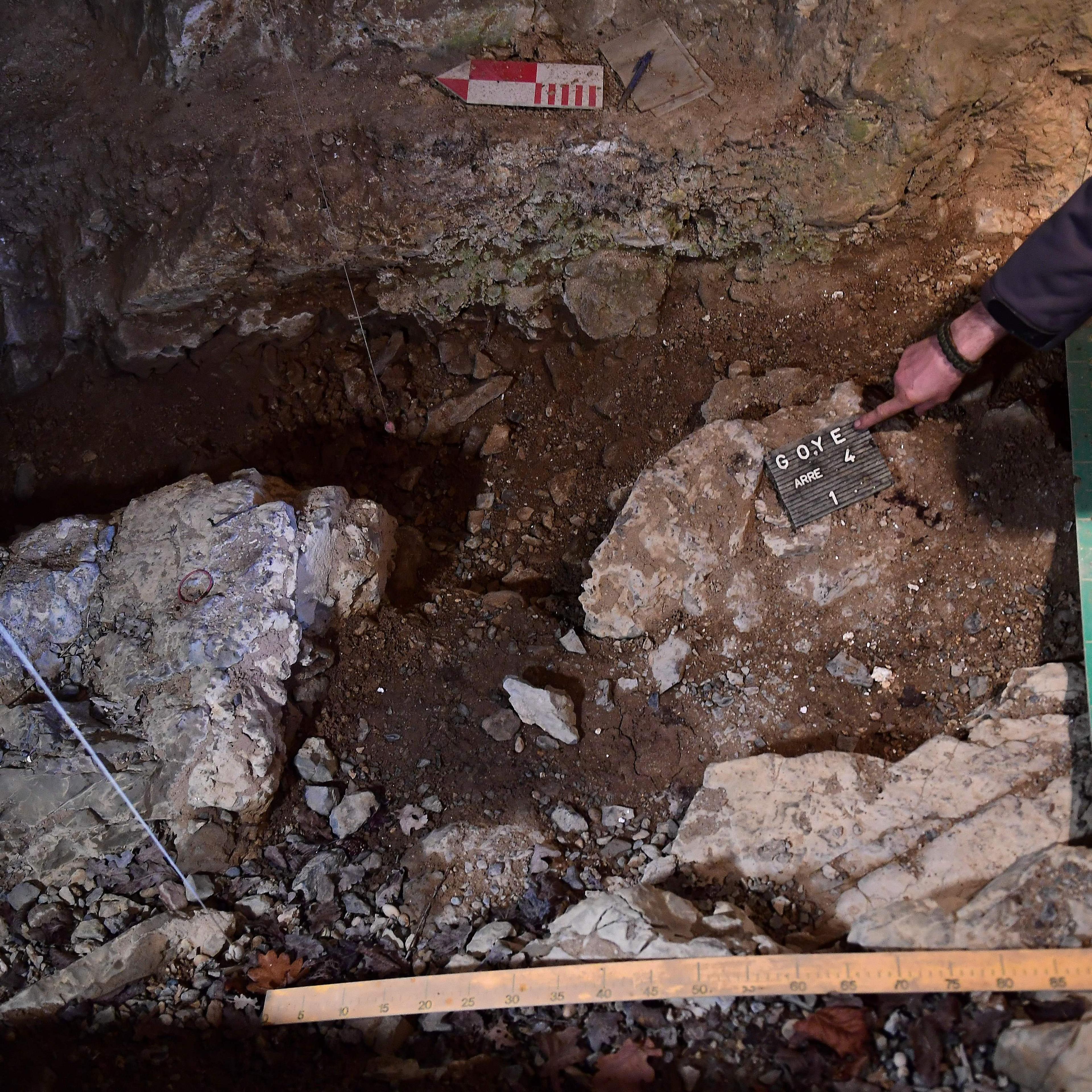 BELGIUM-SCIENCE-ARCHEOLOGY-ANTHROPOLOGY-NEANDERTHAL
