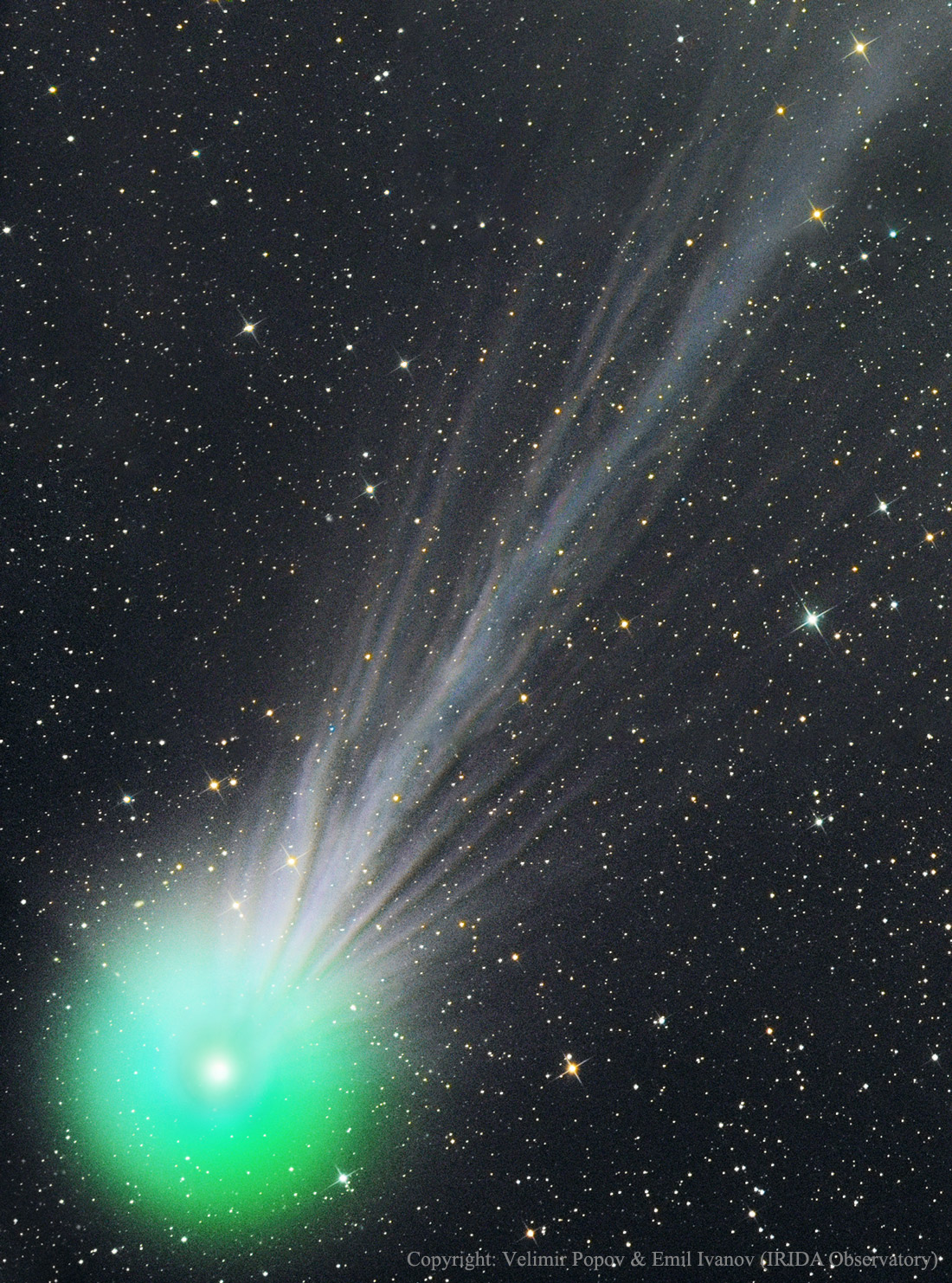 The bar is open: Comet Lovejoy, as photographed on January 15, 2015