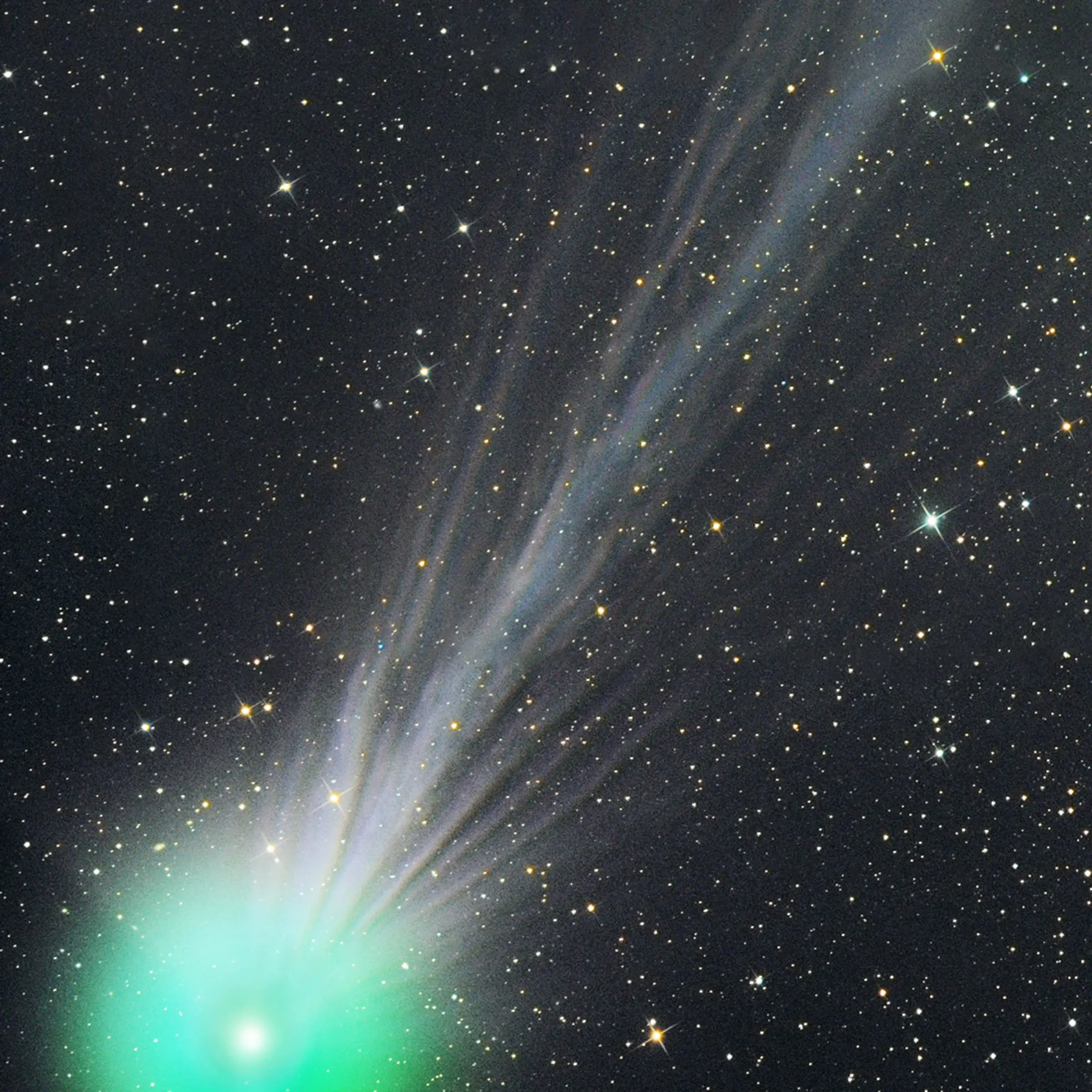 The bar is open: Comet Lovejoy, as photographed on January 15, 2015