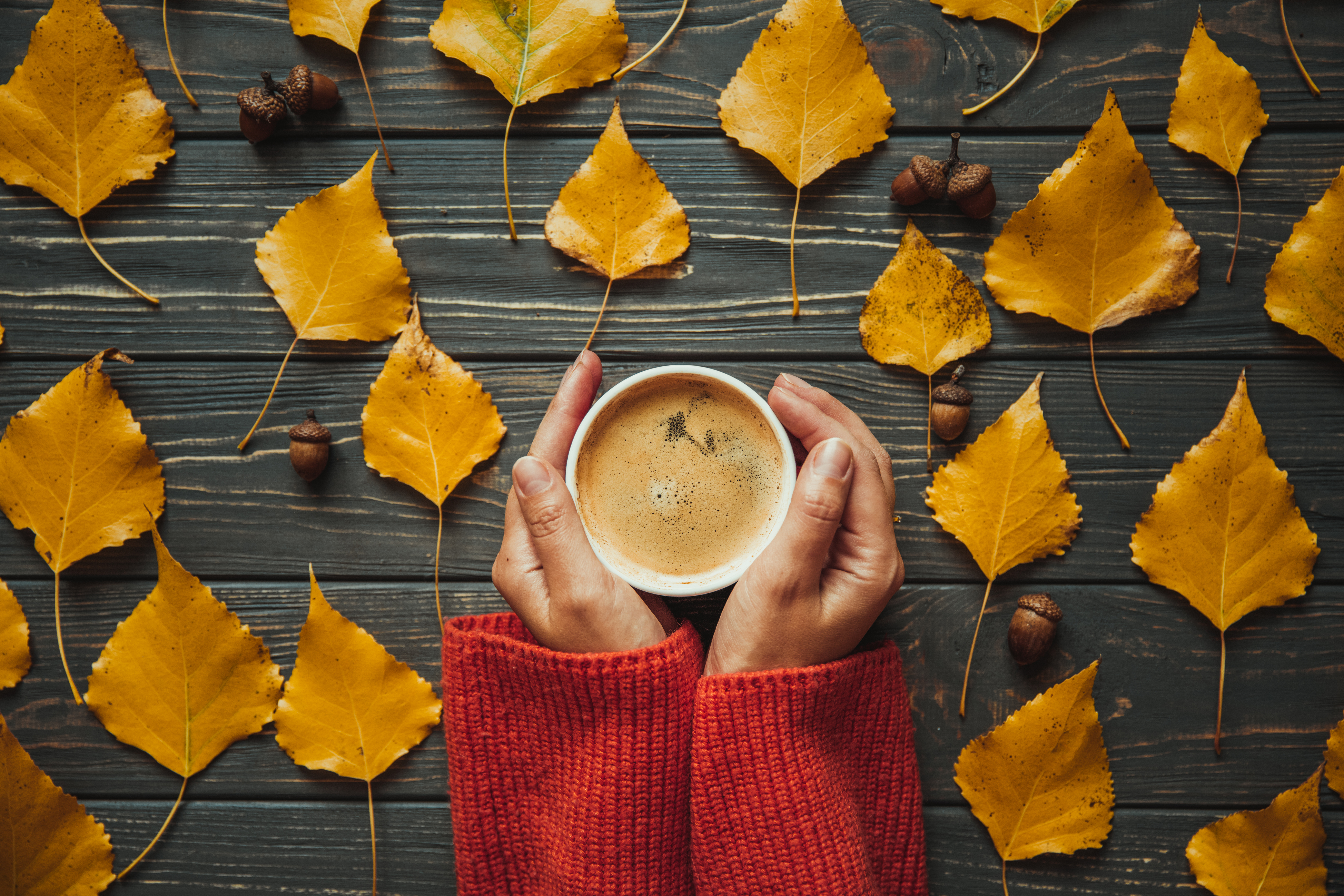 Top view woman on warm sweater holding hands cup cappuccino on  wooden table. Autumn leaves and acorn