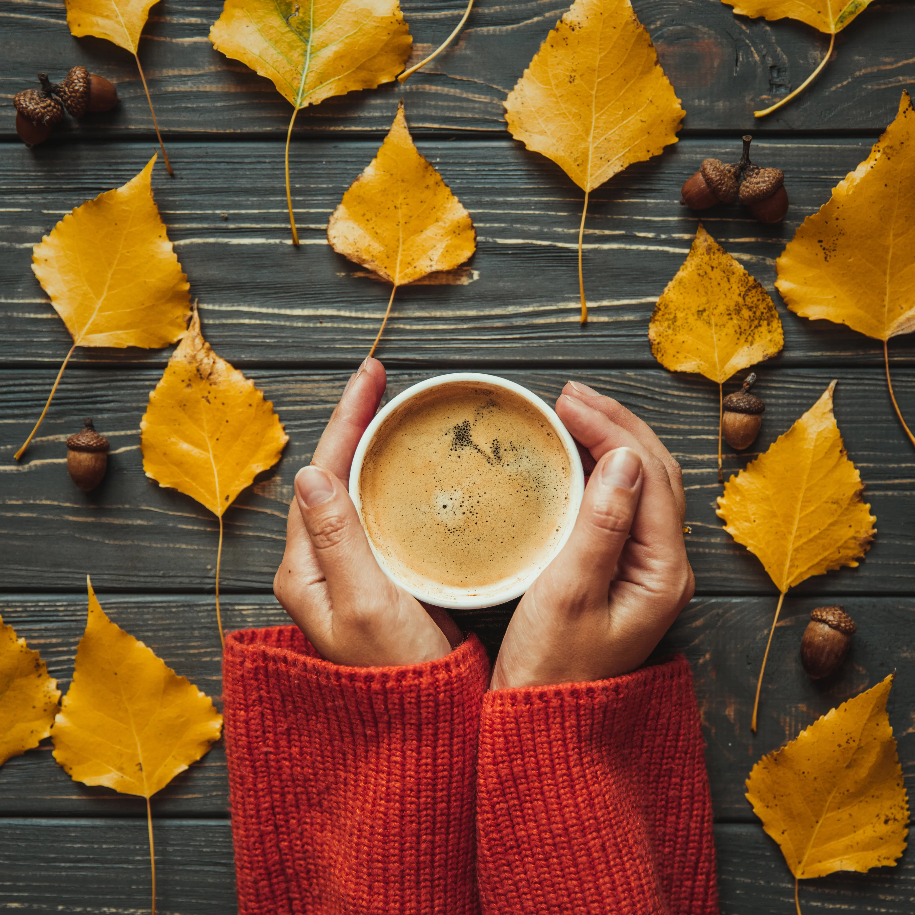 Top view woman on warm sweater holding hands cup cappuccino on wooden table. Autumn leaves and acorn