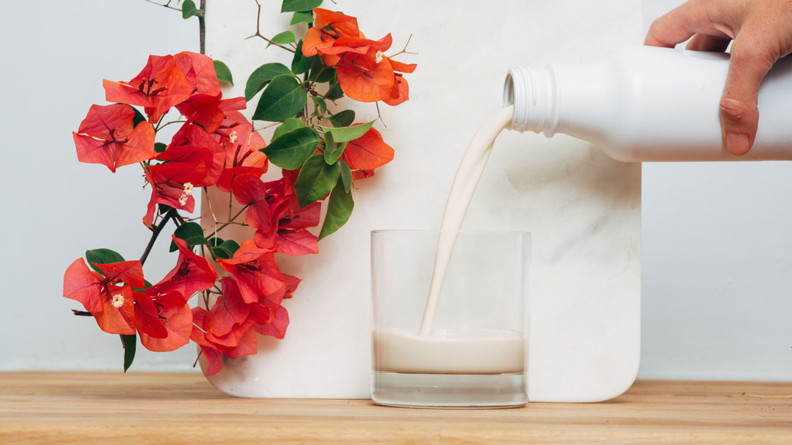 Soylent