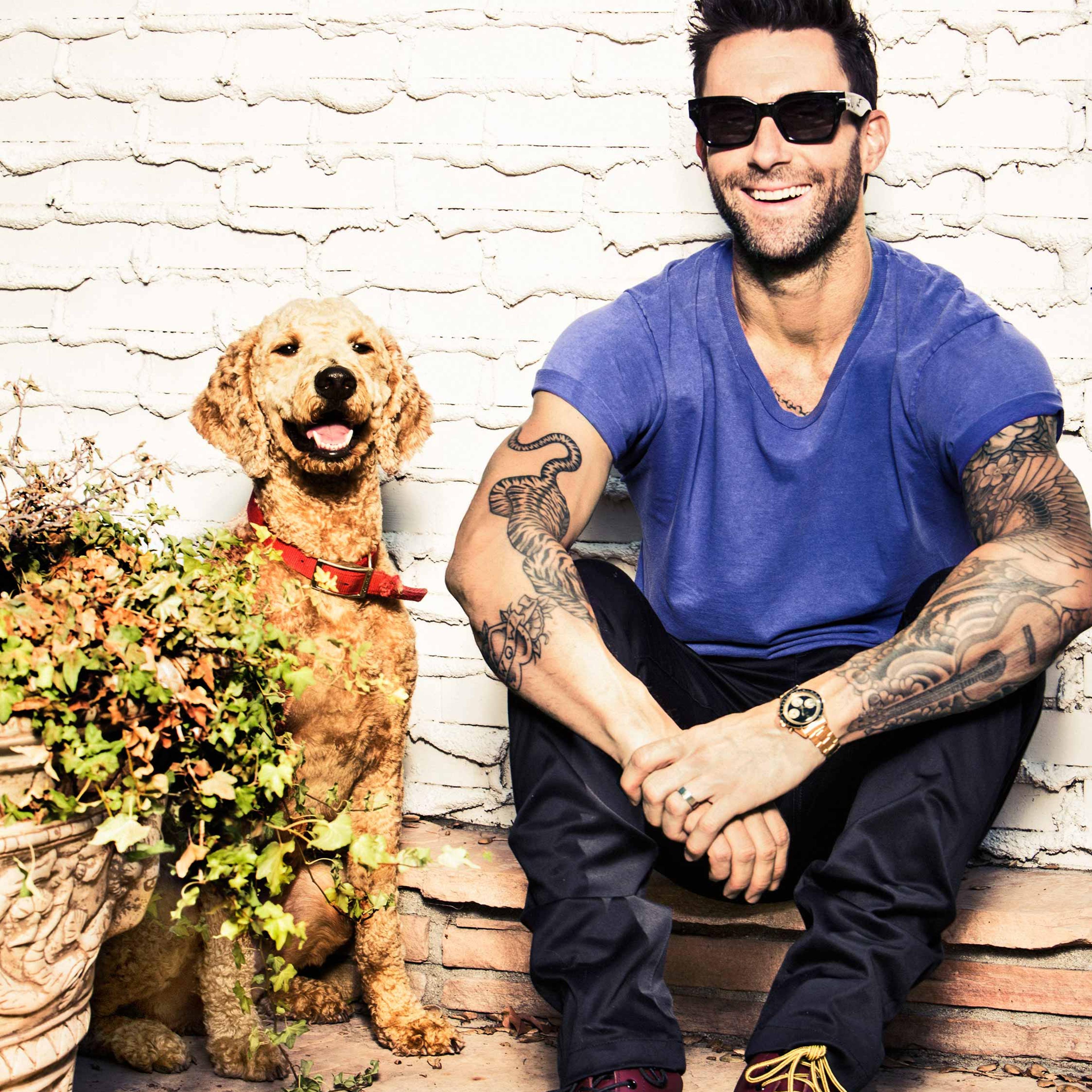 Adam Levine Portrait 2014 Maroon 5