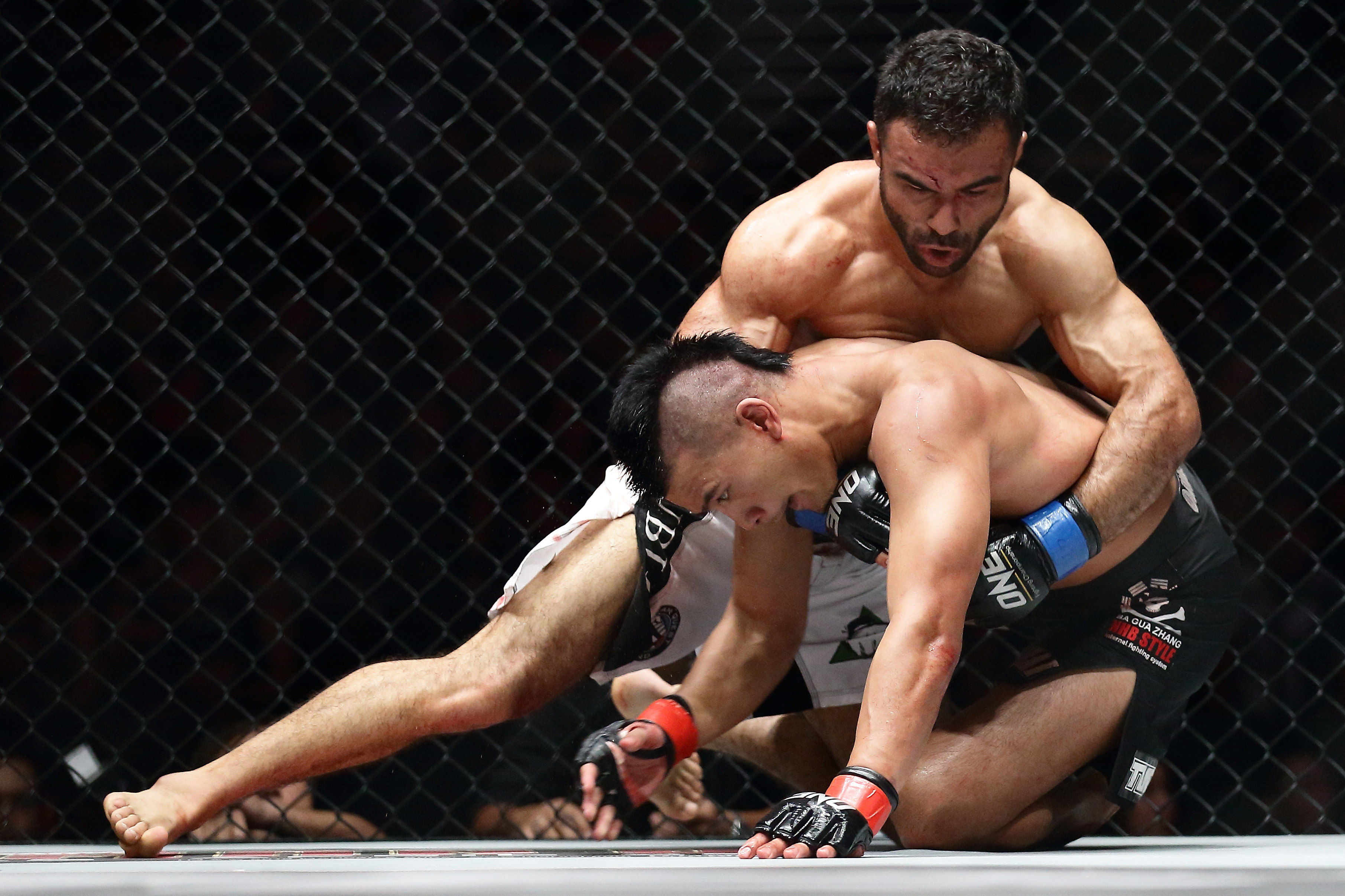 One Fighting Championship