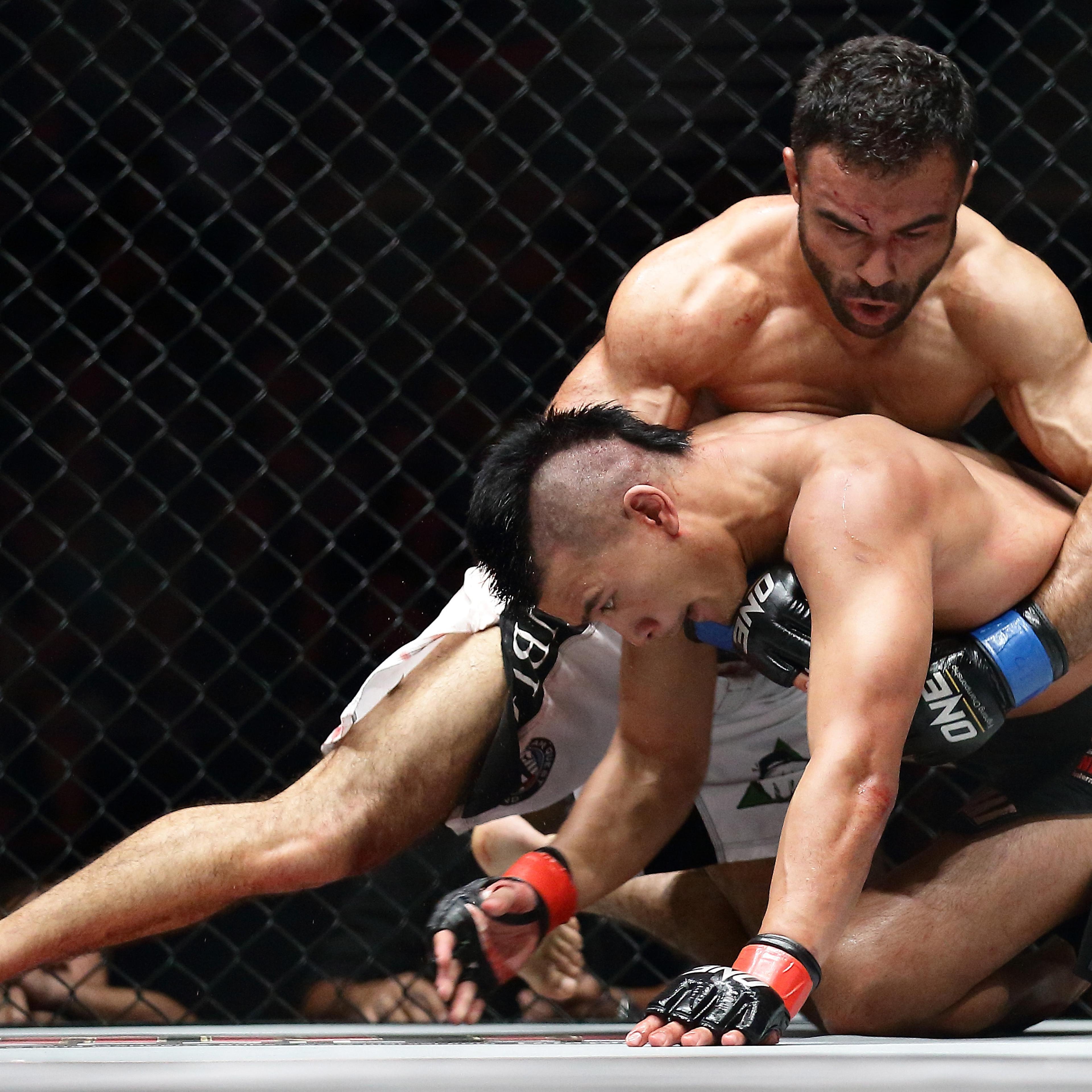 One Fighting Championship