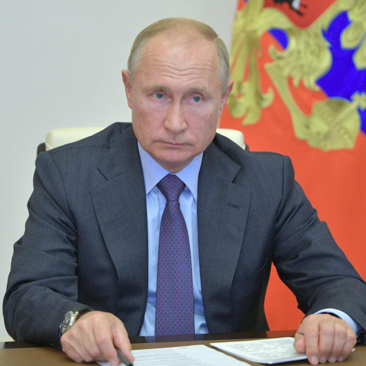 President Putin holds meeting on development of Russian timber industry