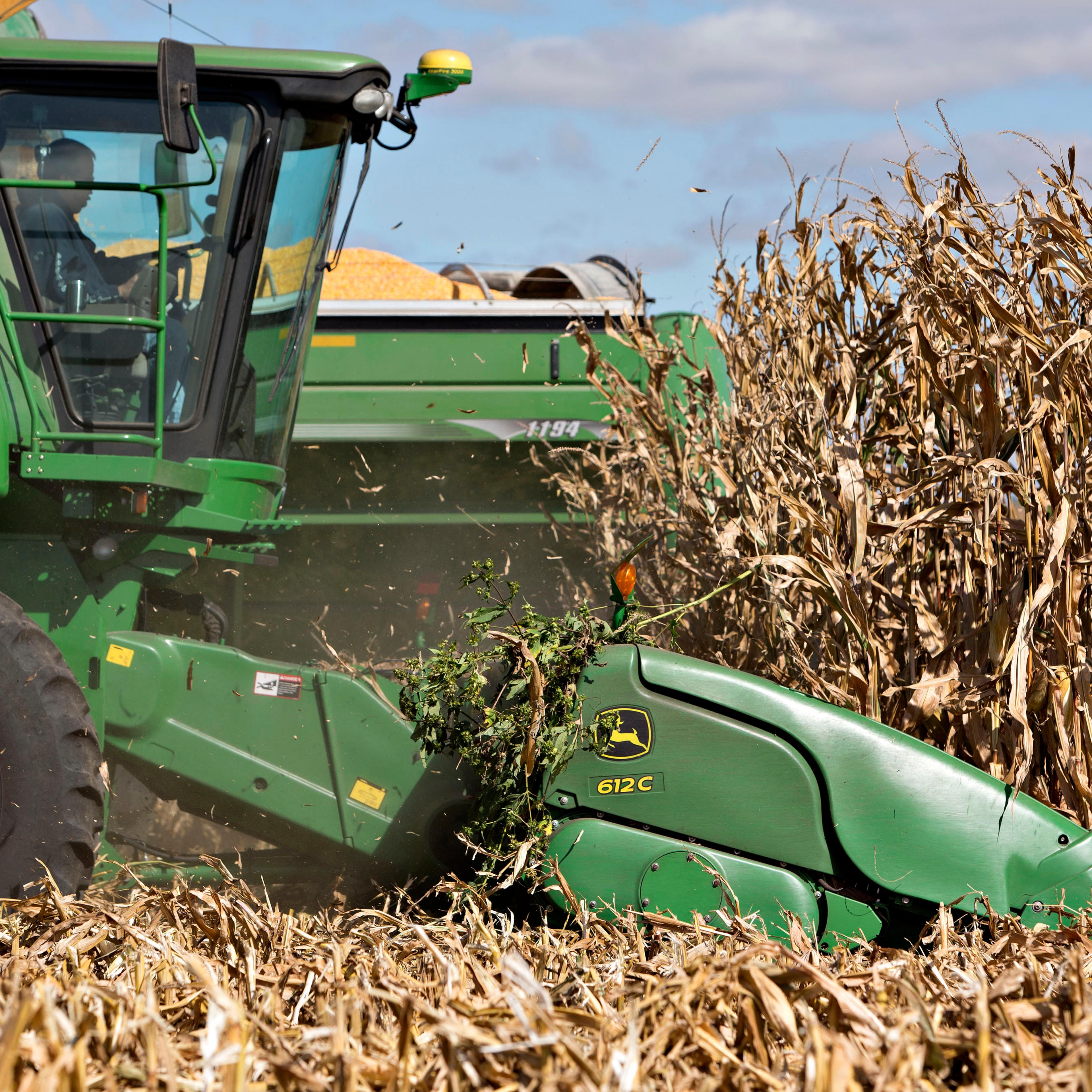 corn climate change crop production