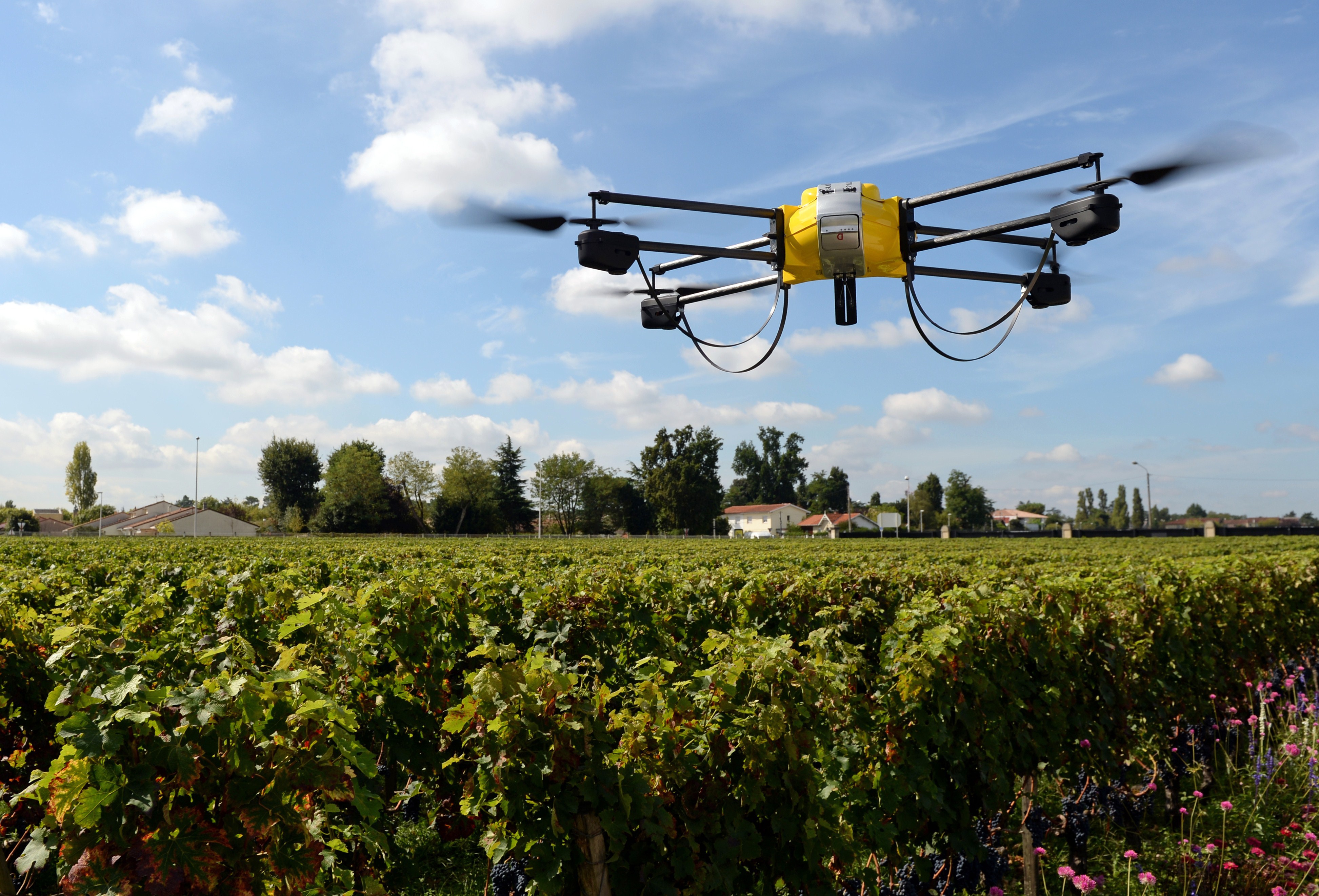 FRANCE-WINE-SCIENCE-TECHNOLOGY