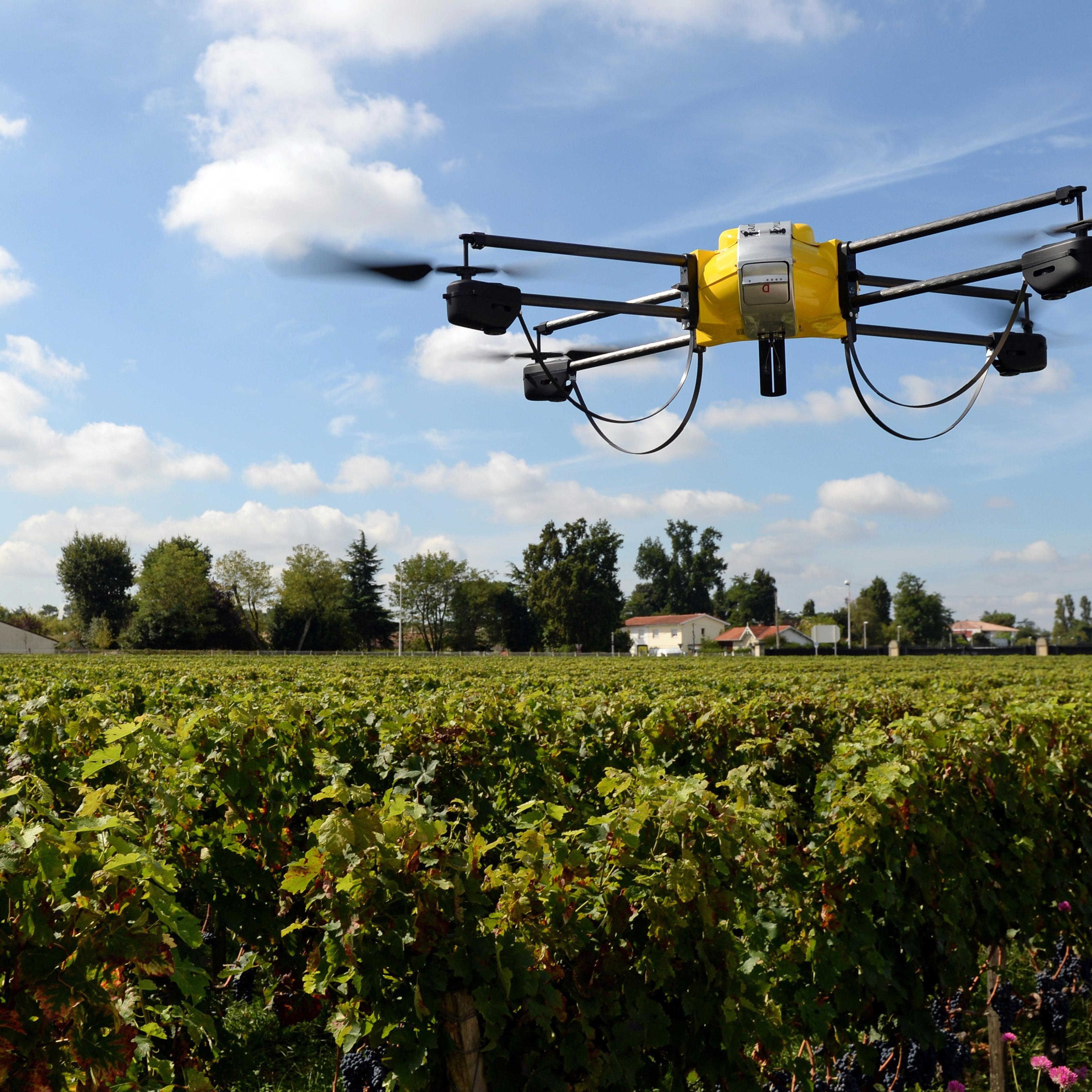 FRANCE-WINE-SCIENCE-TECHNOLOGY