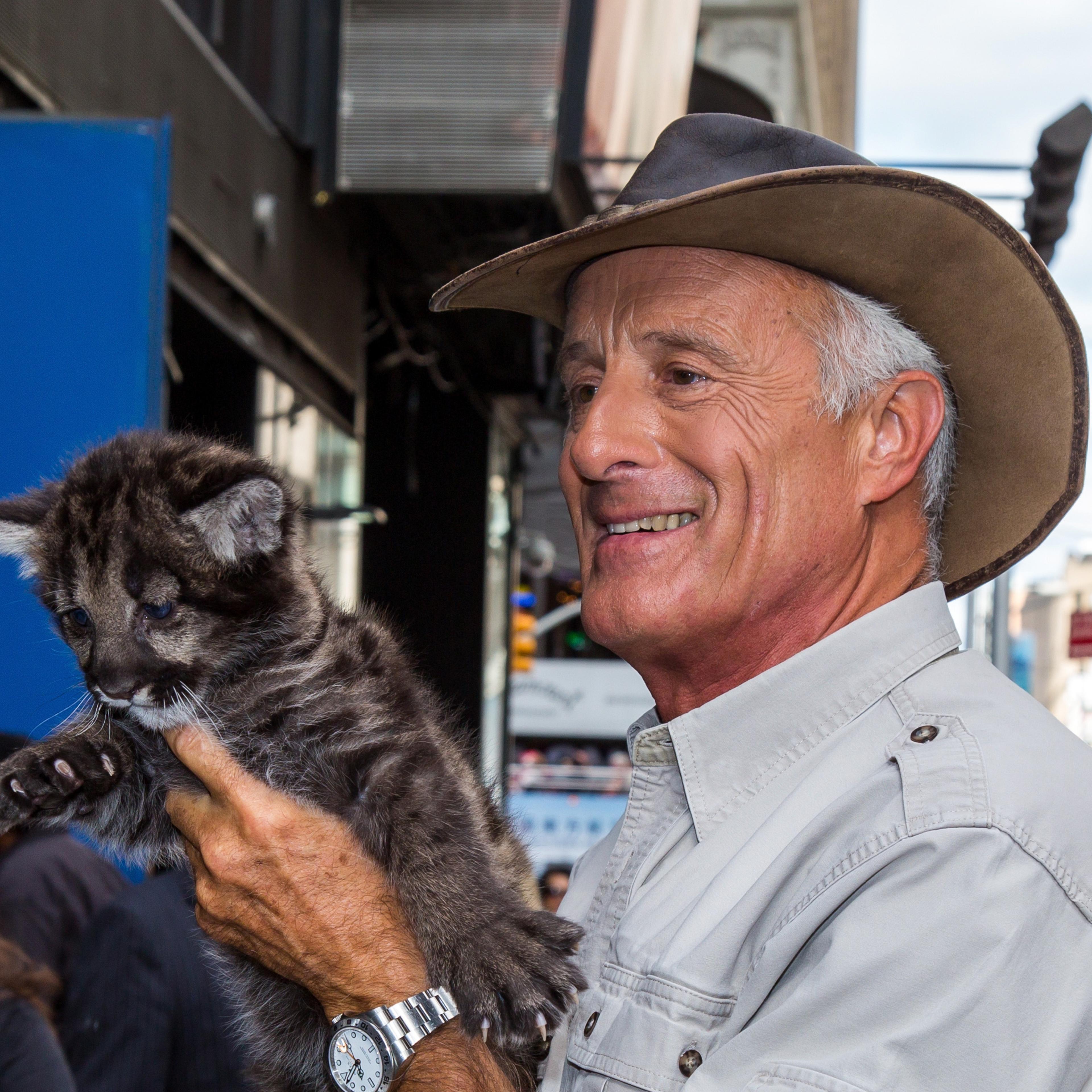Jack Hanna is seen posing with black mountain lion cub at 'Good Morning America' on Sept. 22, 2014 in New York City.