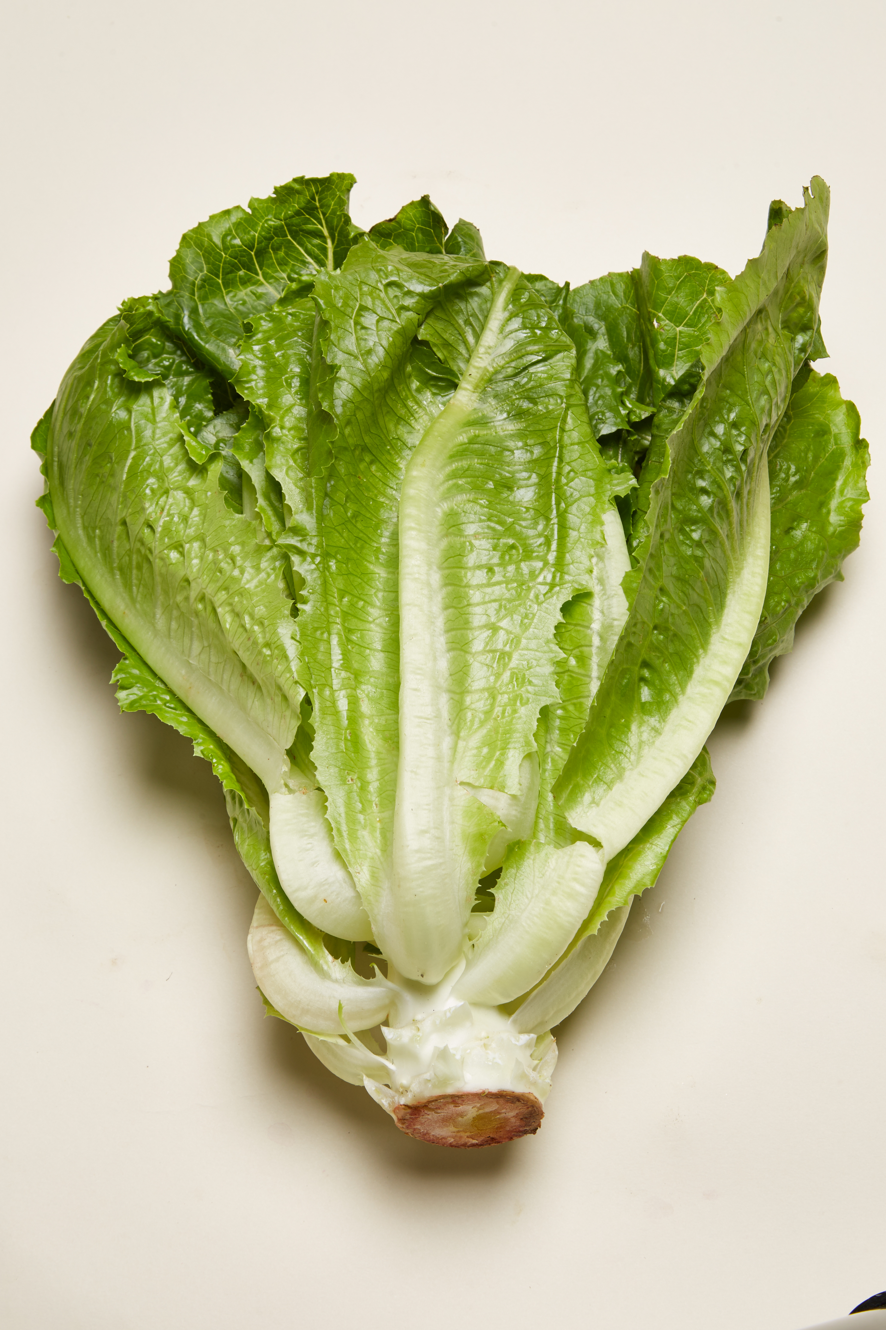 healthy and filling, health food, diet, nutrition, time.com stock, romaine