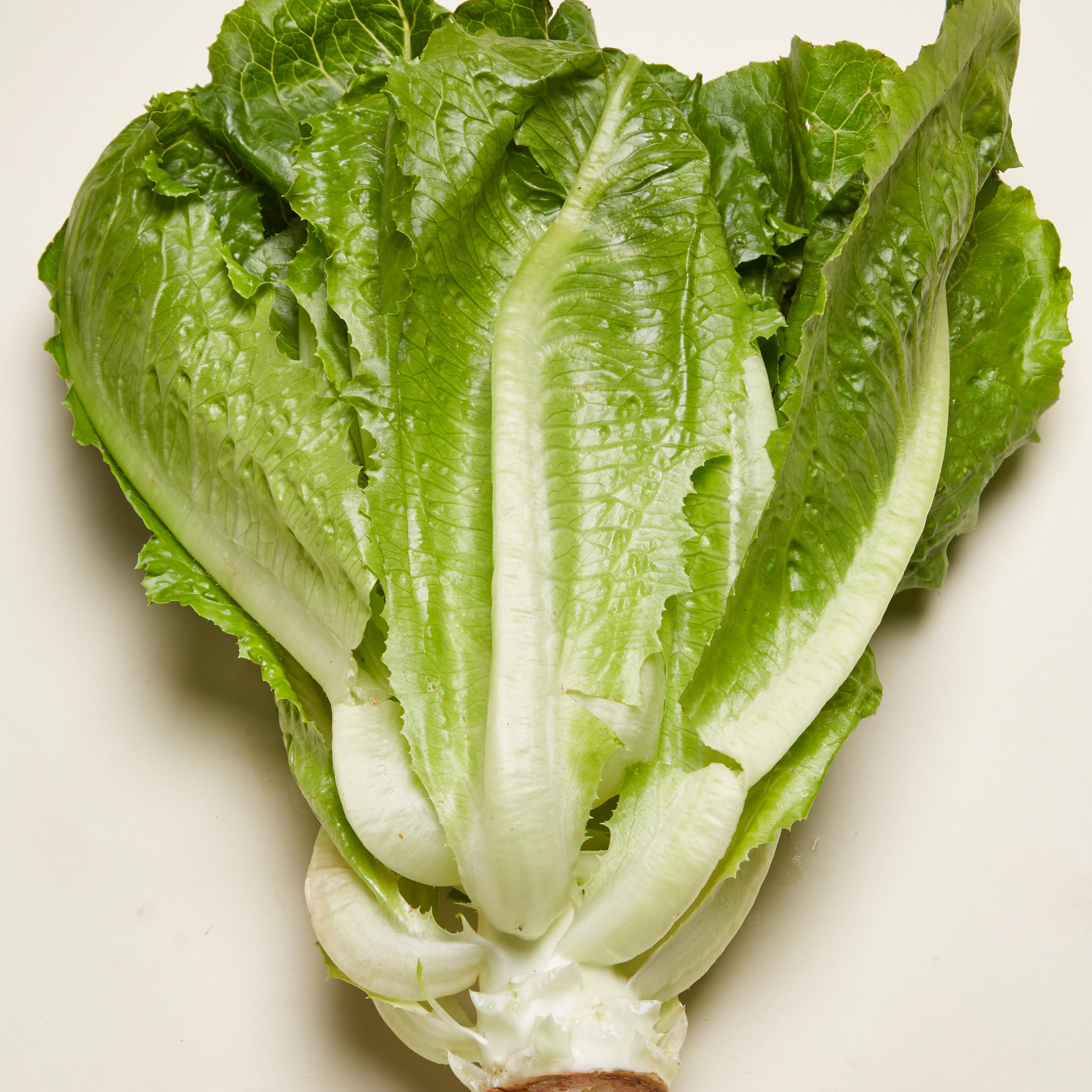 healthy and filling, health food, diet, nutrition, time.com stock, romaine