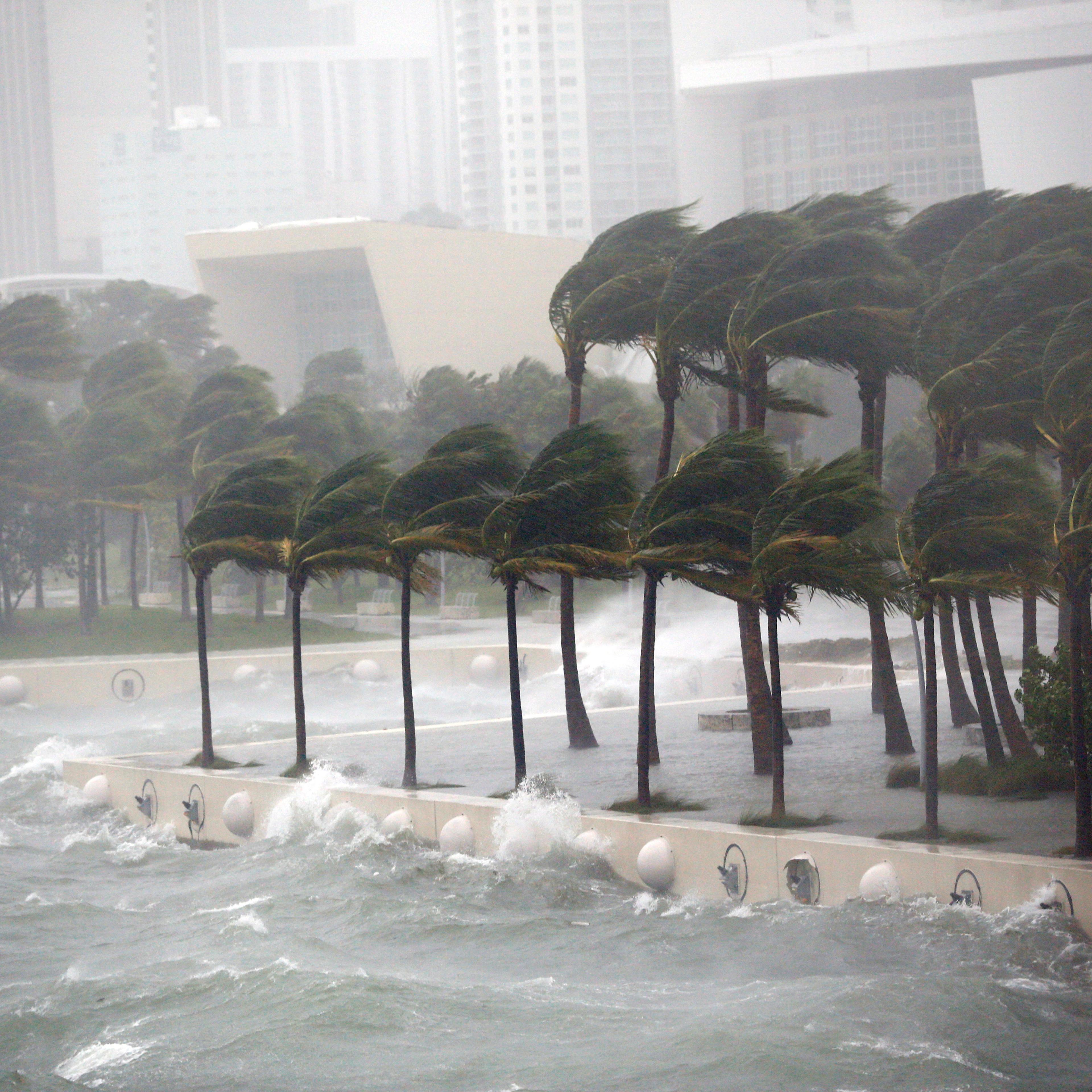 Hurricane Irma