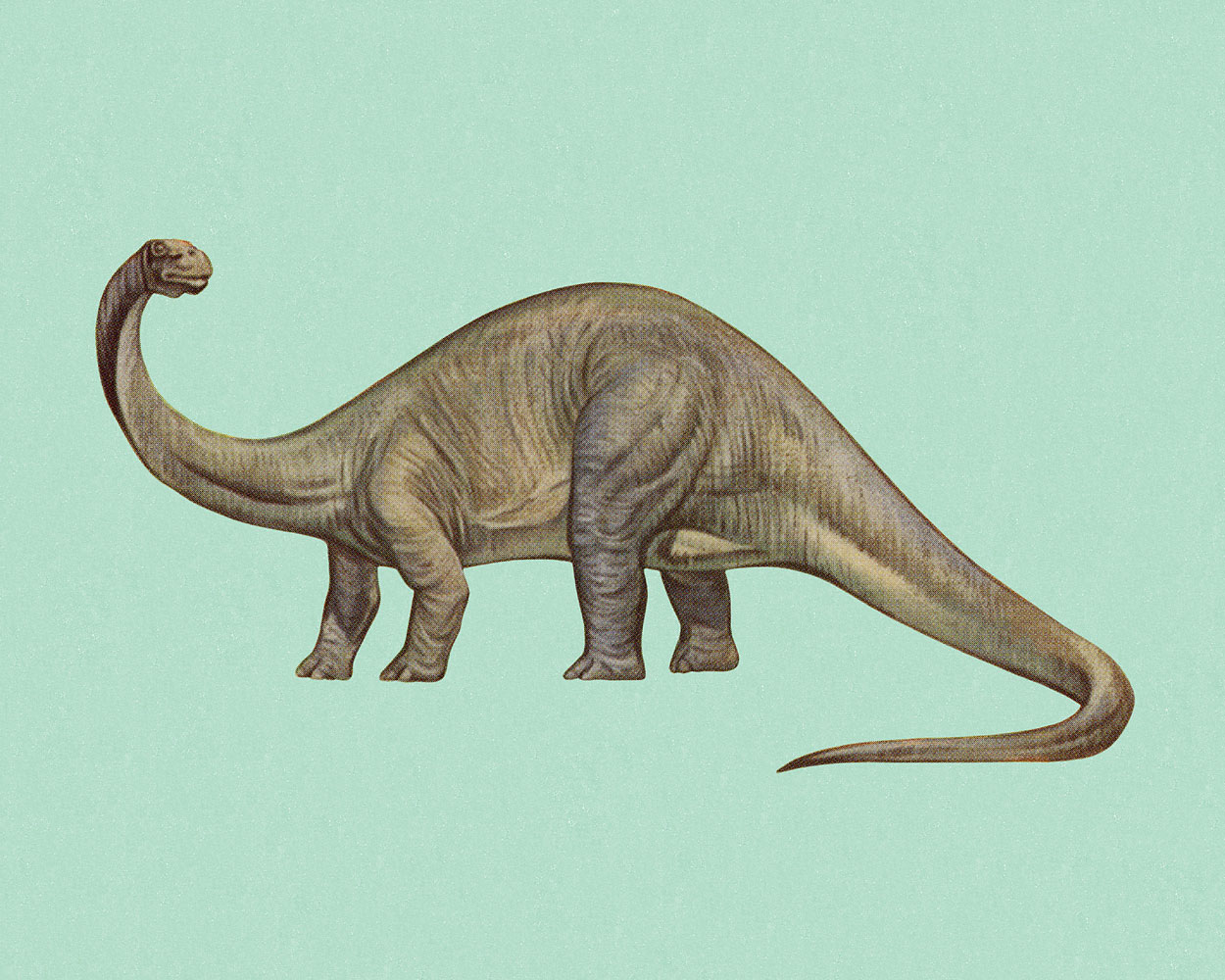 Dinosaur