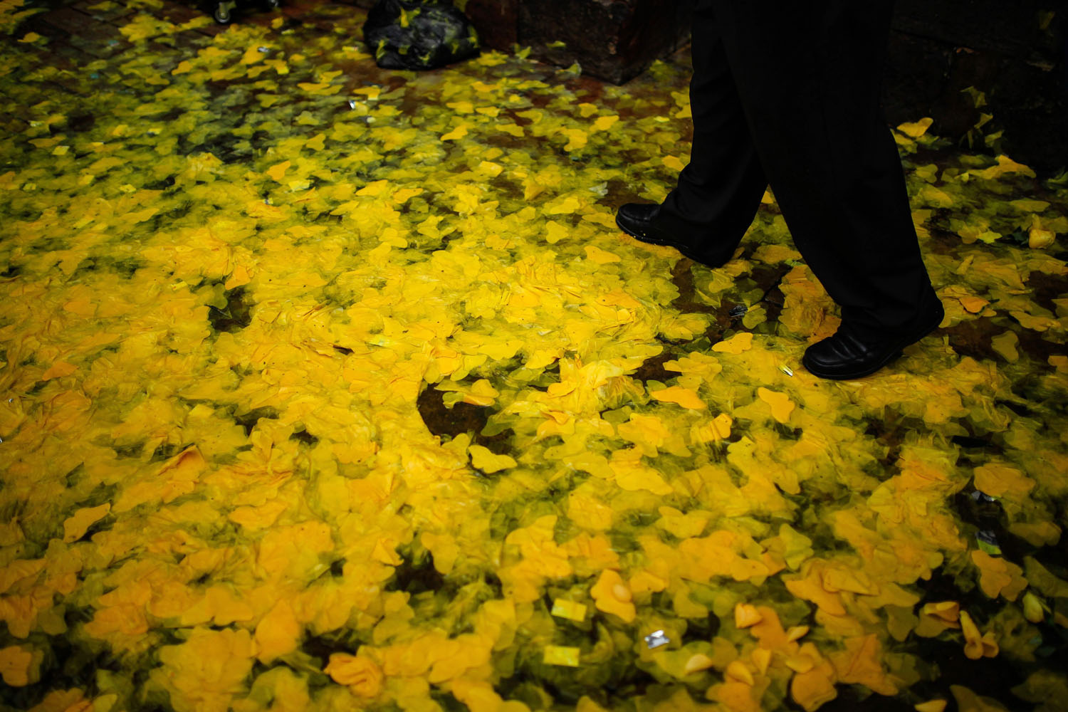 COLOMBIA-BOGOTA-CULTURE-GARCIA MARQUEZ