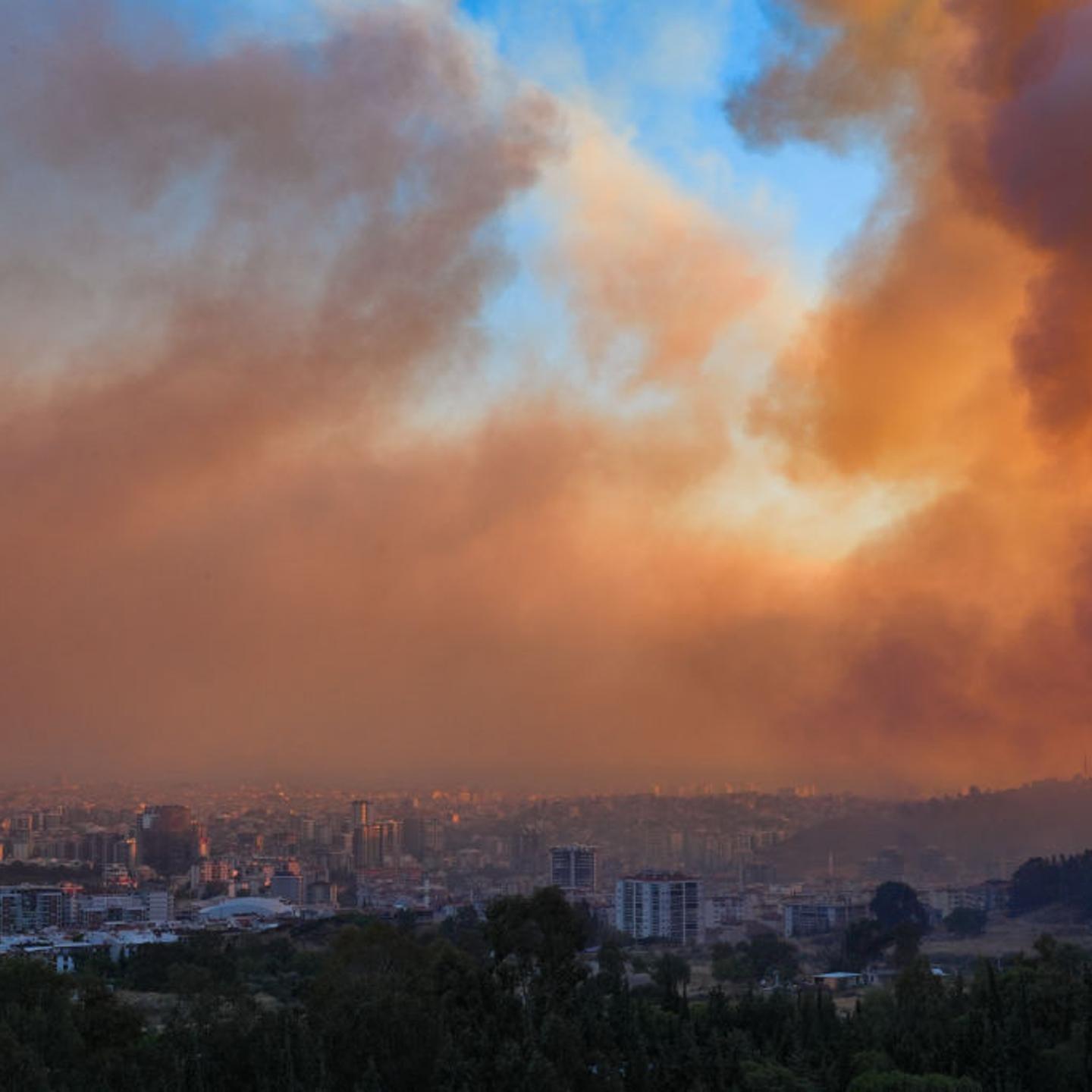 Efforts continue to combat forest fires in Izmir