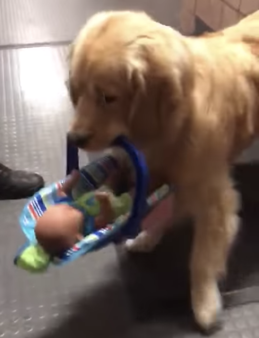 police dog toys
