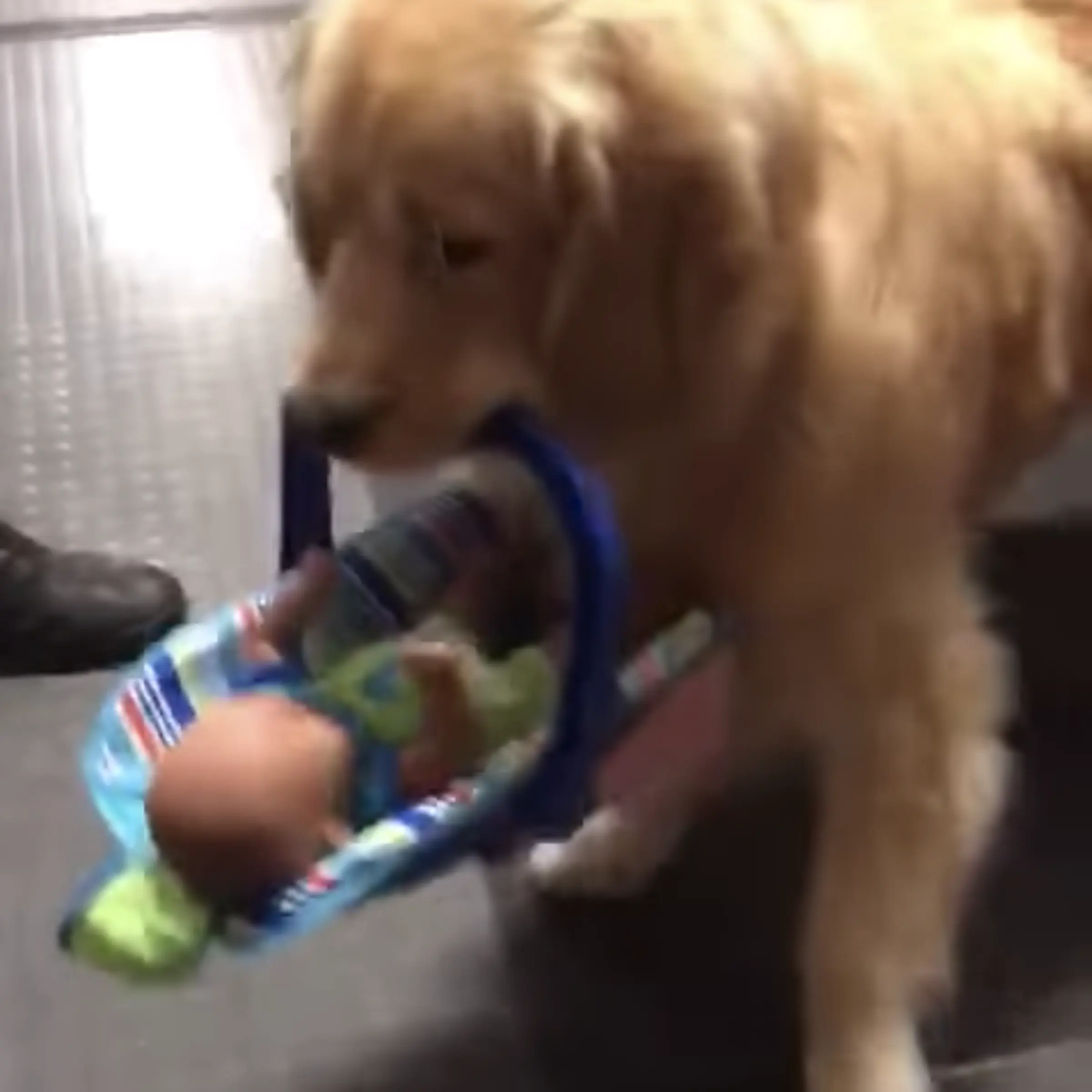 police dog toys