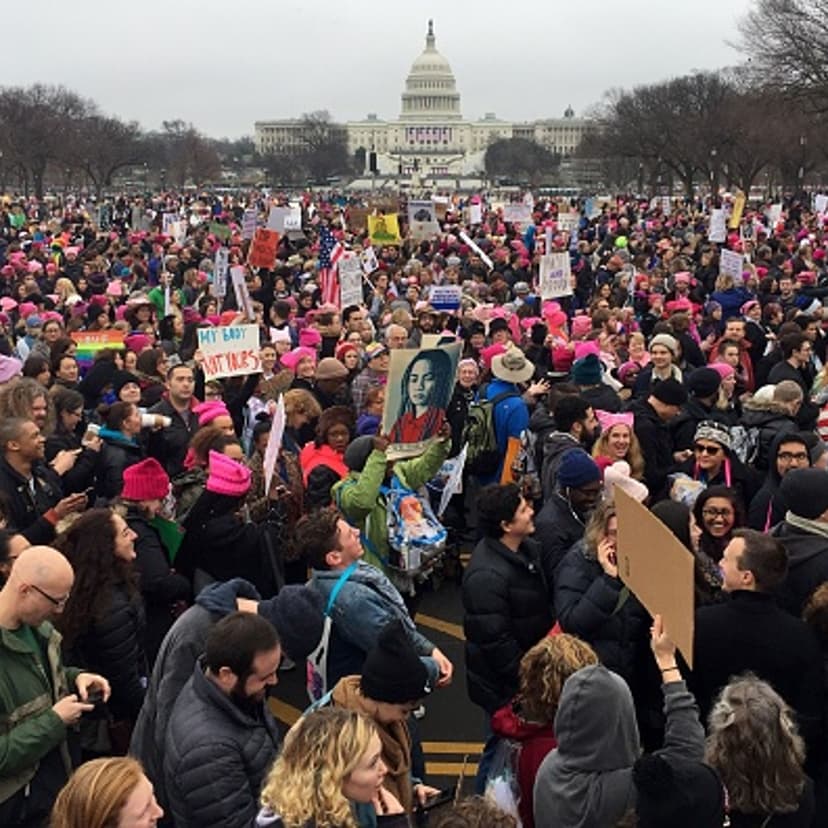 Demonstrators protest on the National Mall in Washington, DC, for the 2017 Women's march