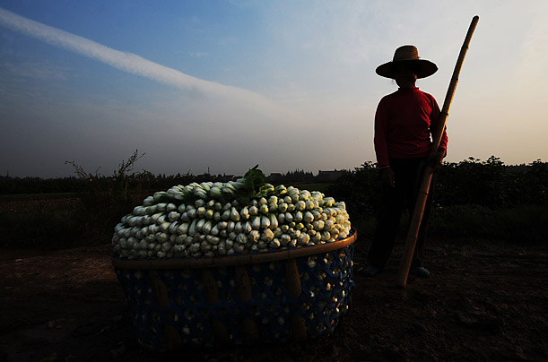 China Photos / Getty