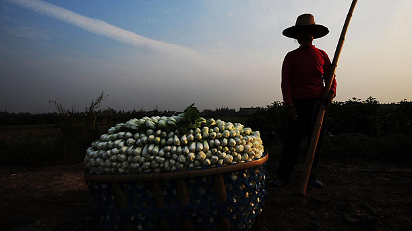 China Photos / Getty