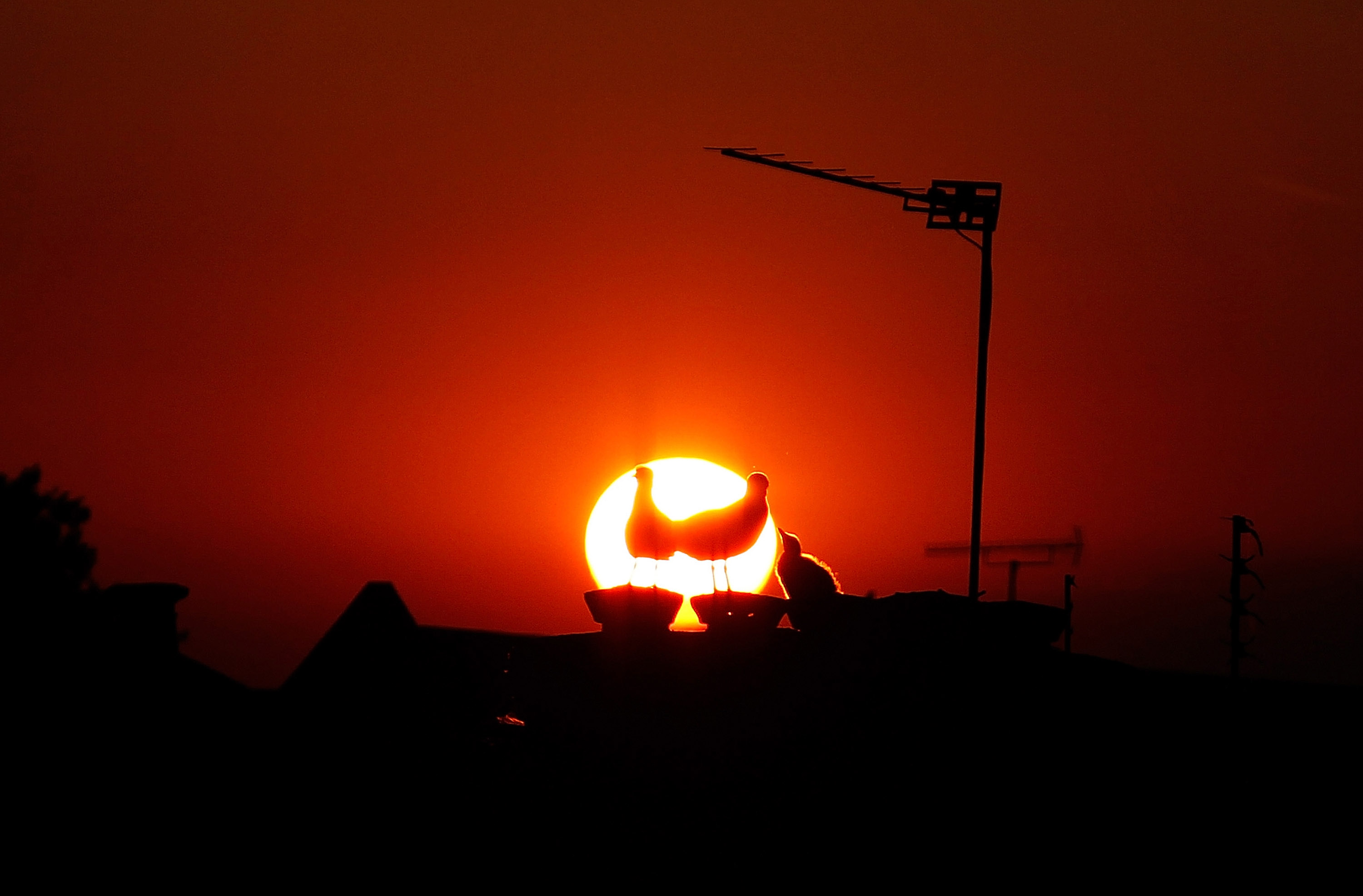 The Sun Goes Down Over South London