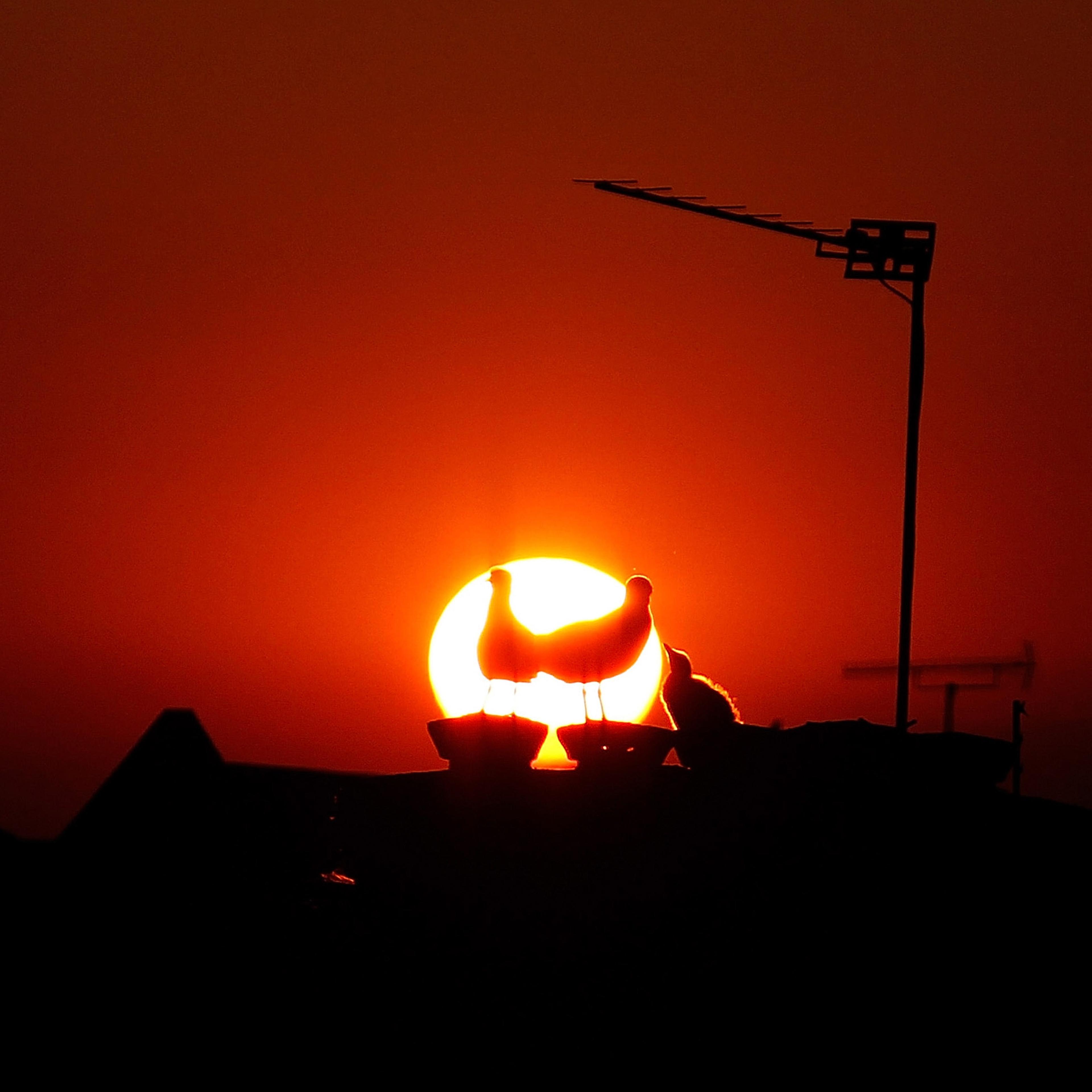 The Sun Goes Down Over South London