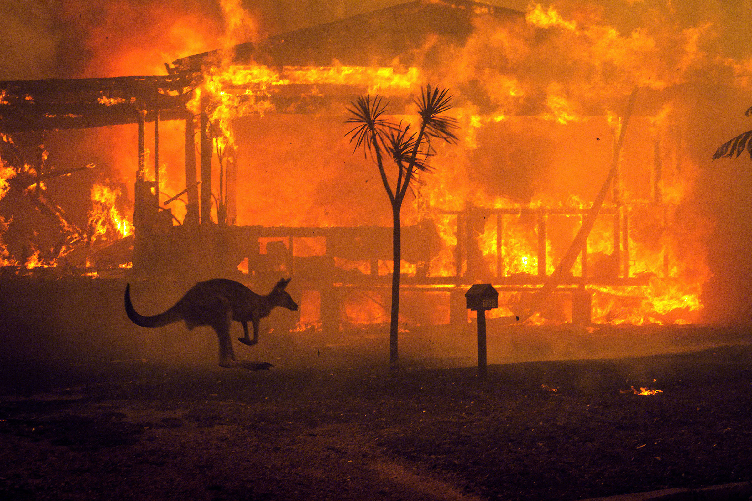 More than 15 million acres have burned across Australia this season