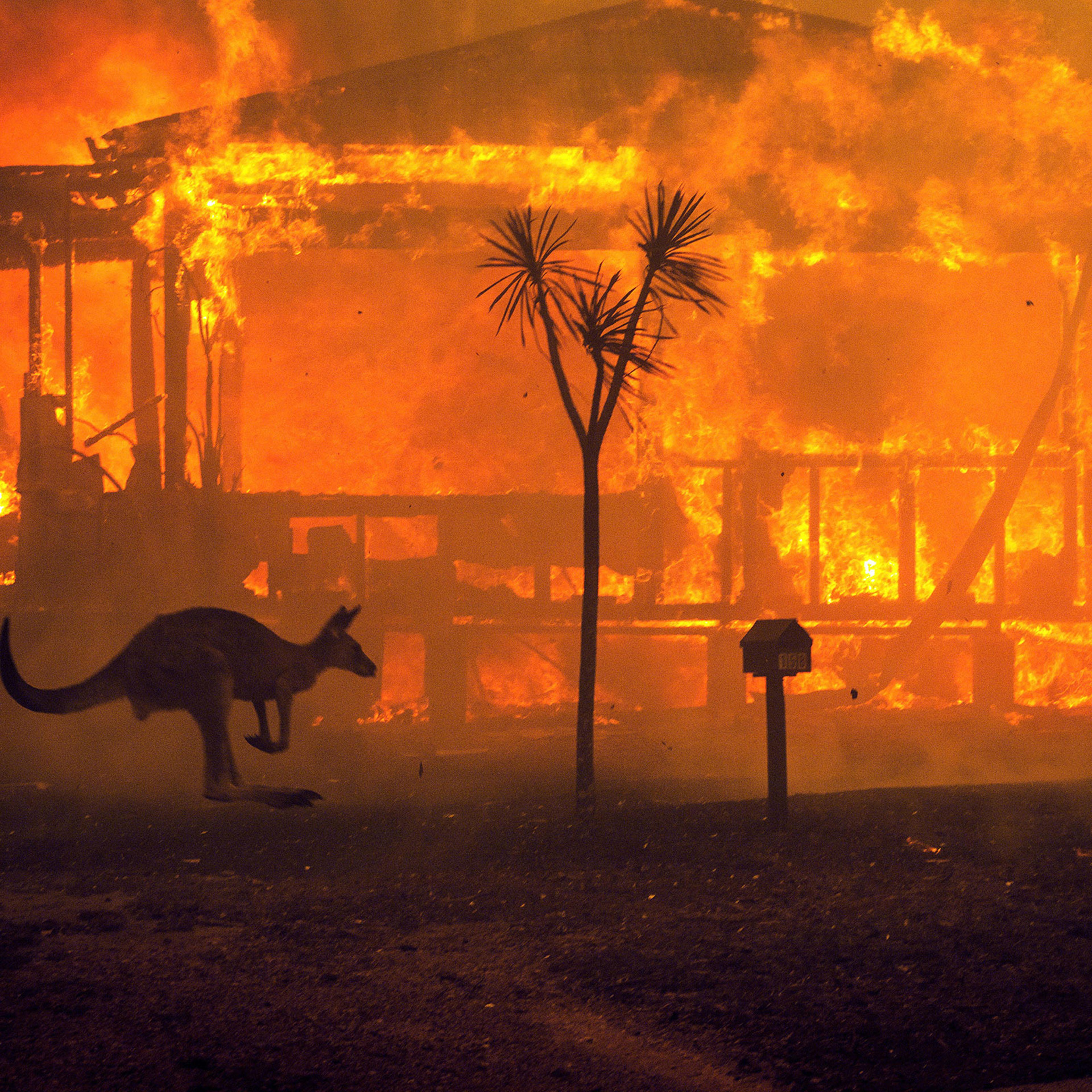 More than 15 million acres have burned across Australia this season