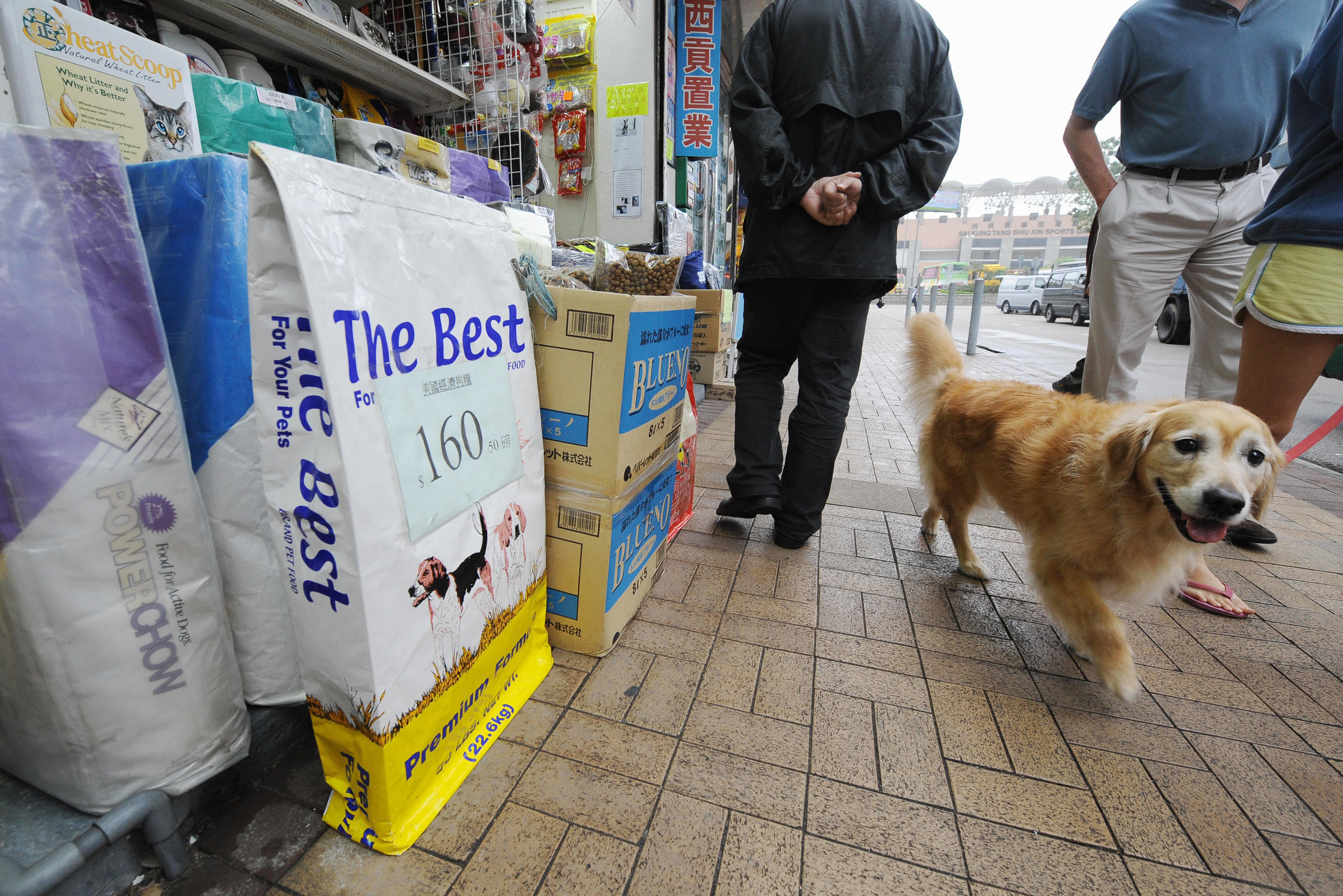 China Pet Food Recall